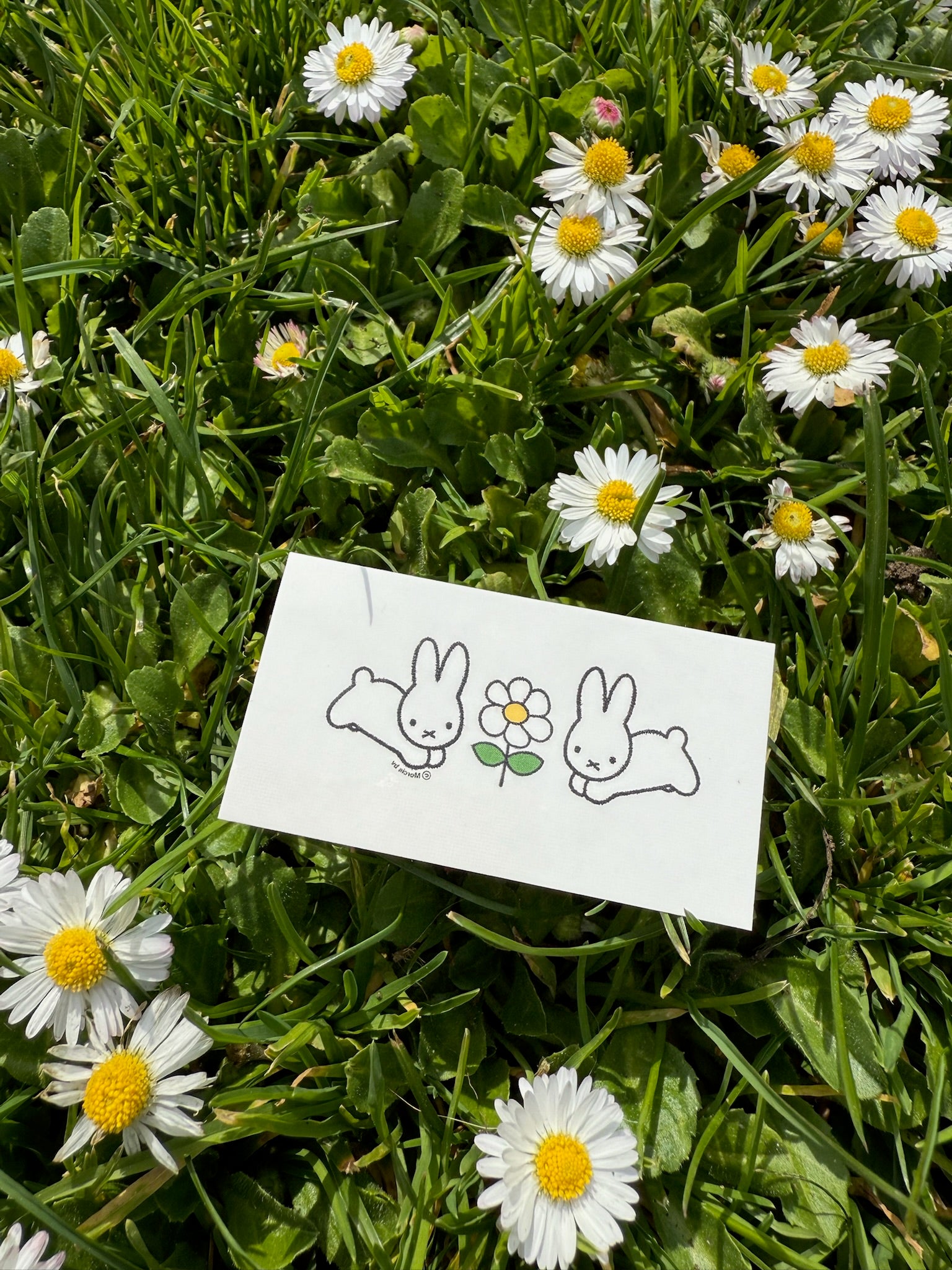 Dick Bruna Rabbit Daisies Temporary Tattoo