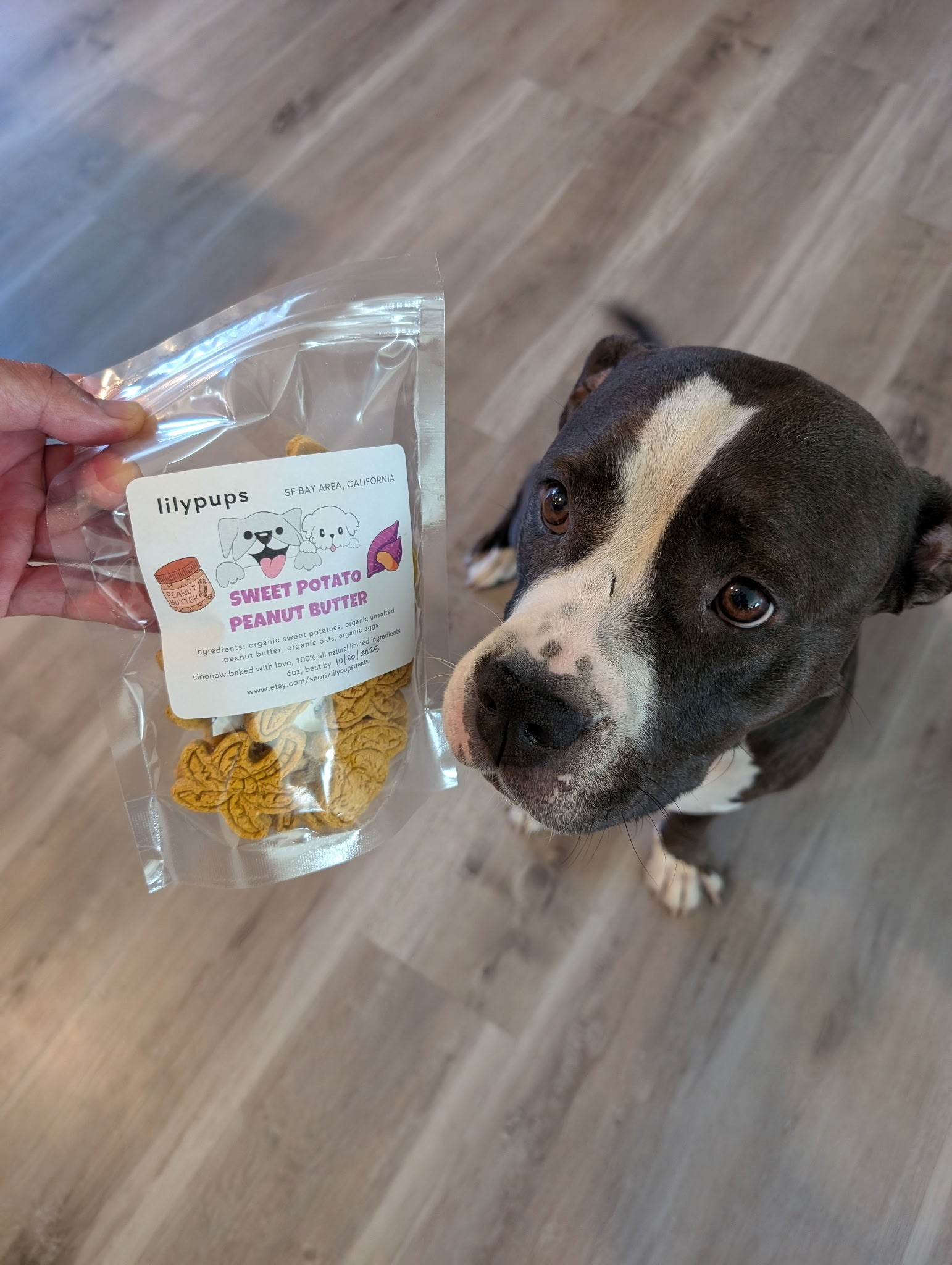 Lilypups Dog Treats