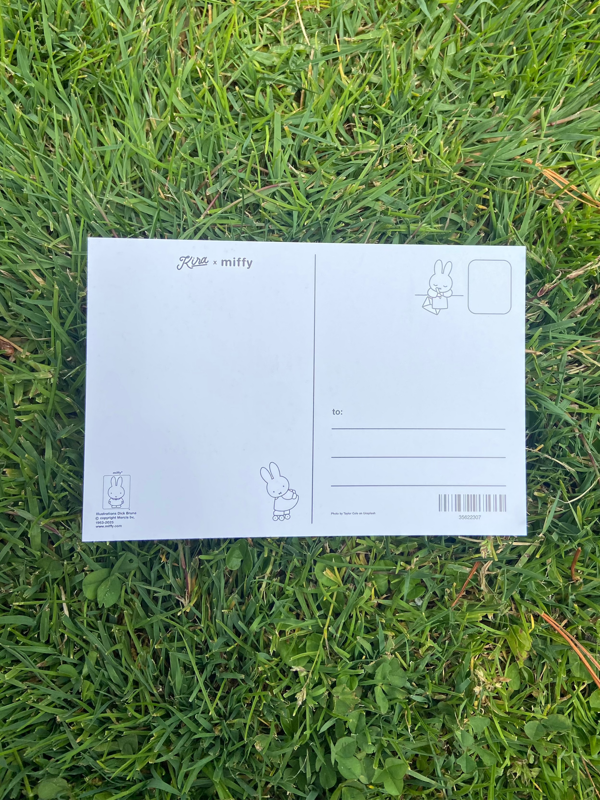 SF Miffy Postcard, Golden Gate Bridge