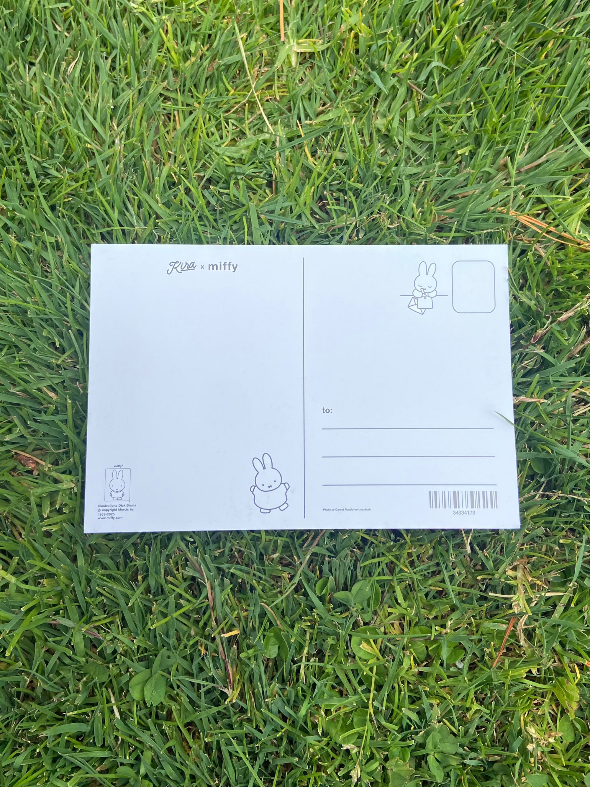 SF Miffy Postcard, Painted Ladies