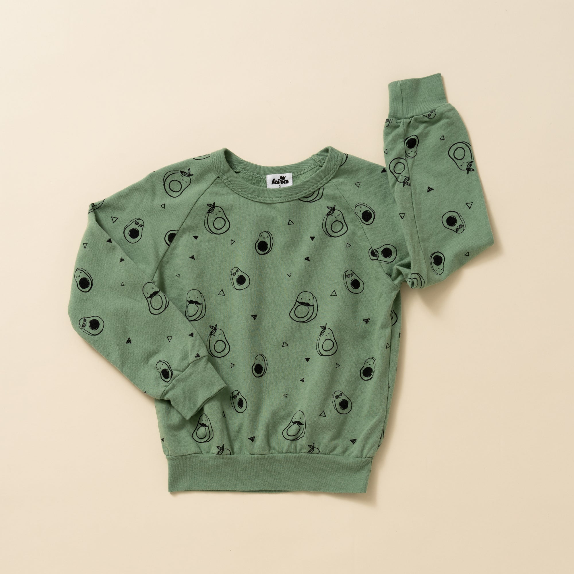 Avocado French Terry Raglan Sweatshirt, Sage