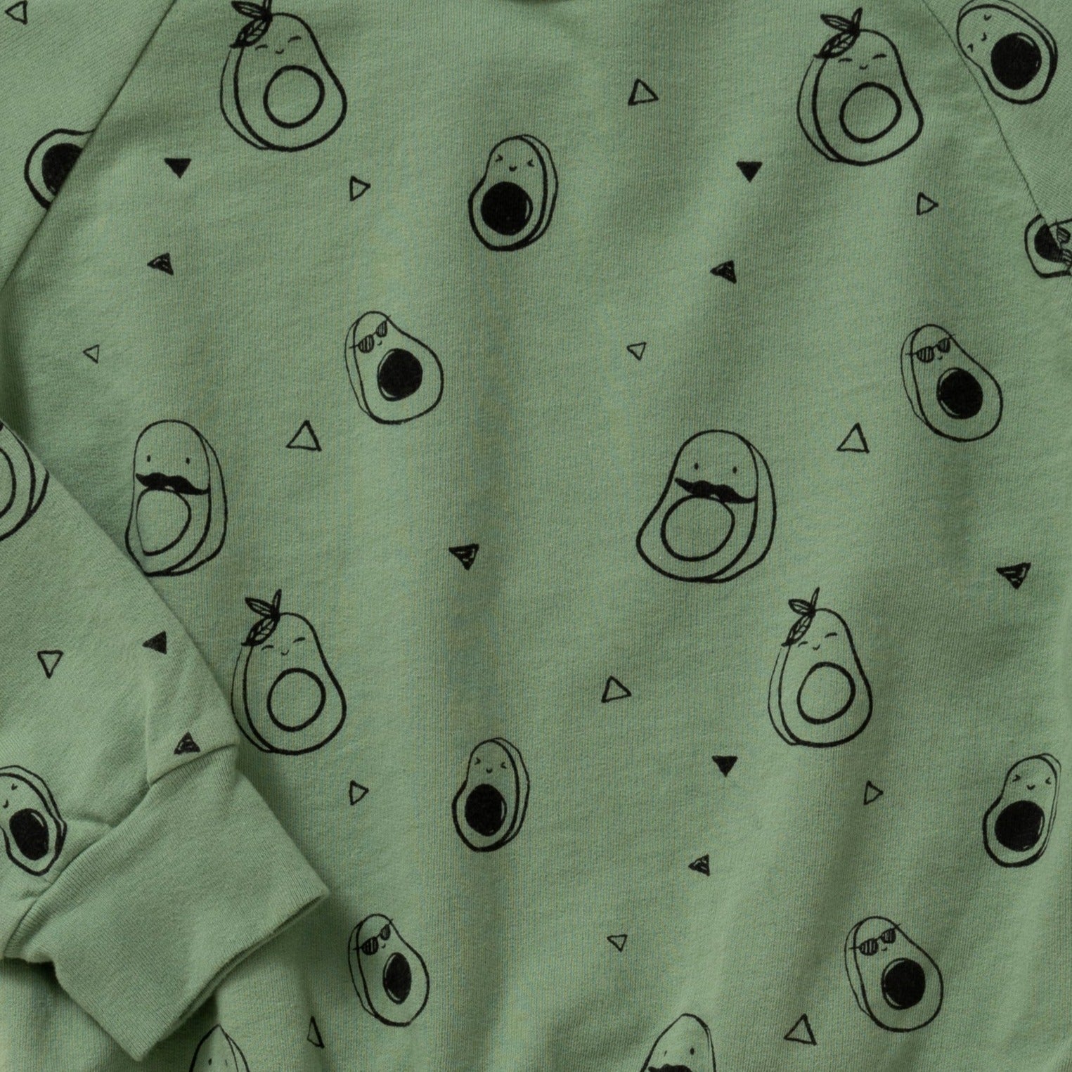 Avocado French Terry Raglan Sweatshirt, Sage