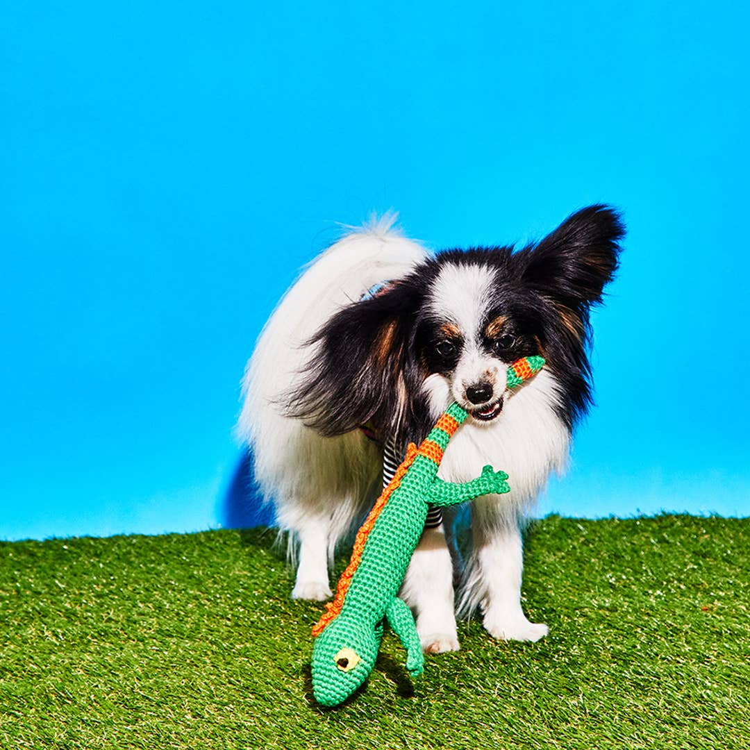 Hand Crochet Lizard Dog Toy