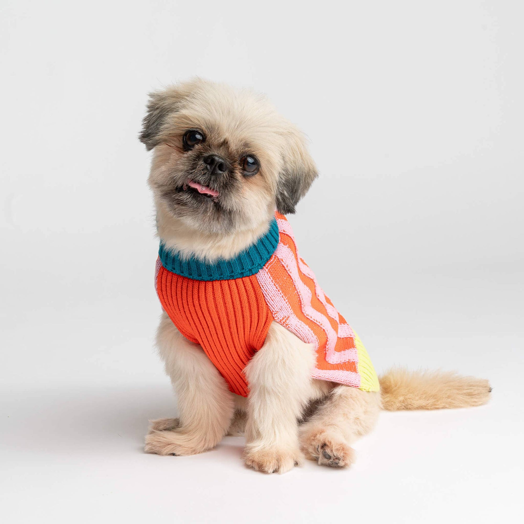 Striped Dog Sweater, Lime Cobalt / M