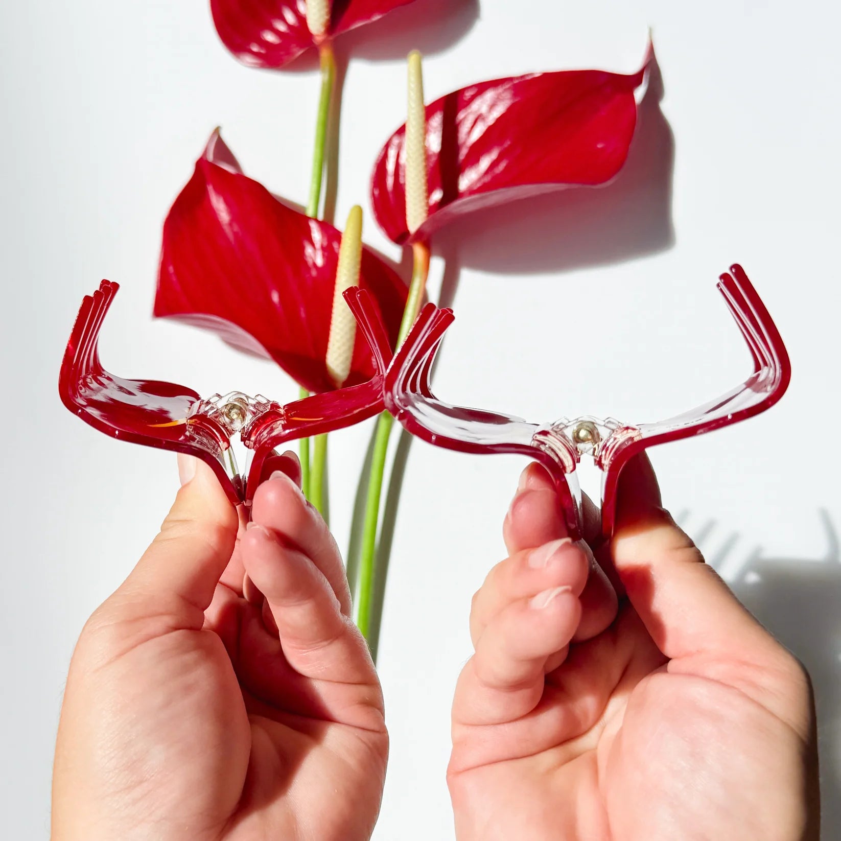 Red Anthurium Claw