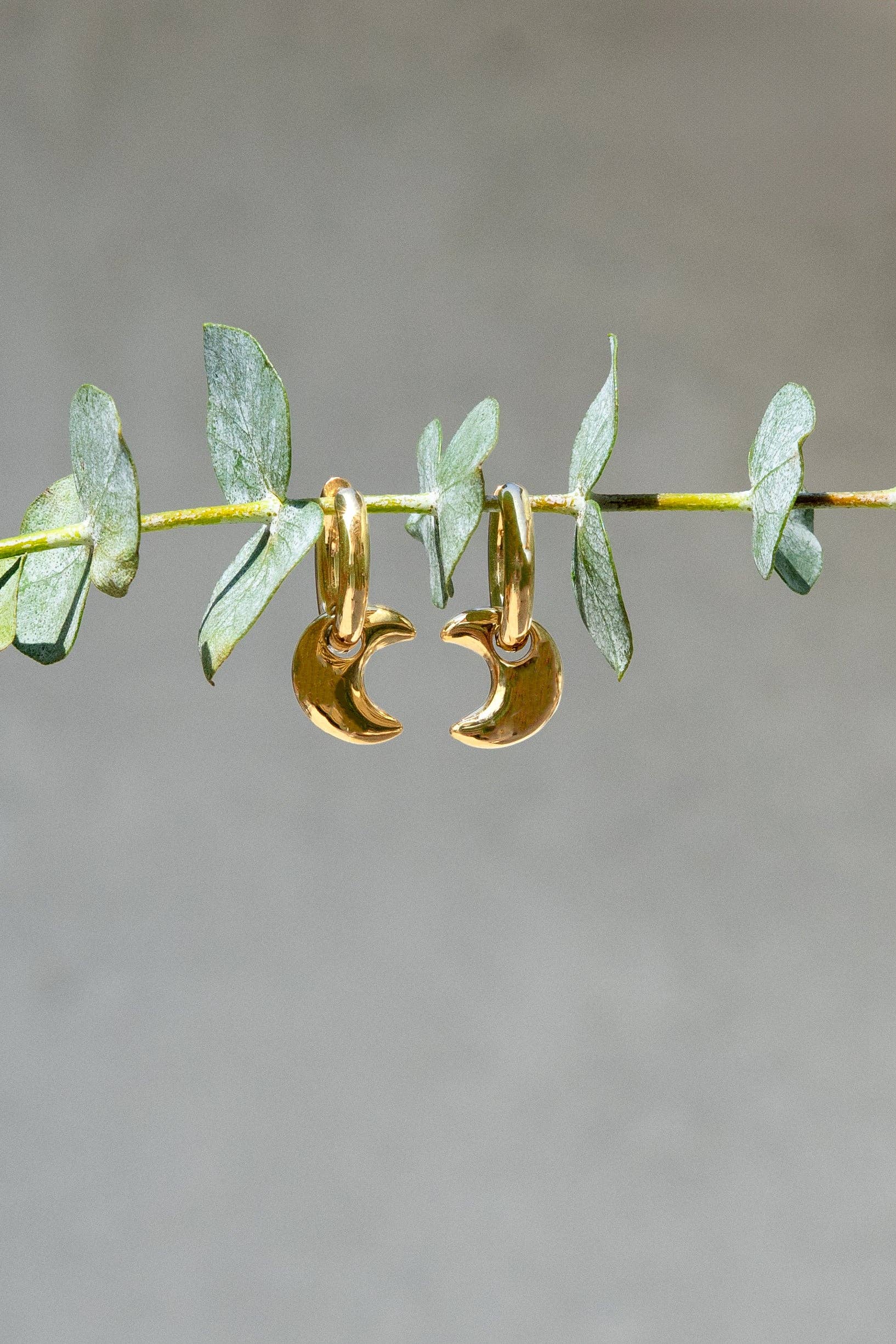 Luna Hoops, Silver