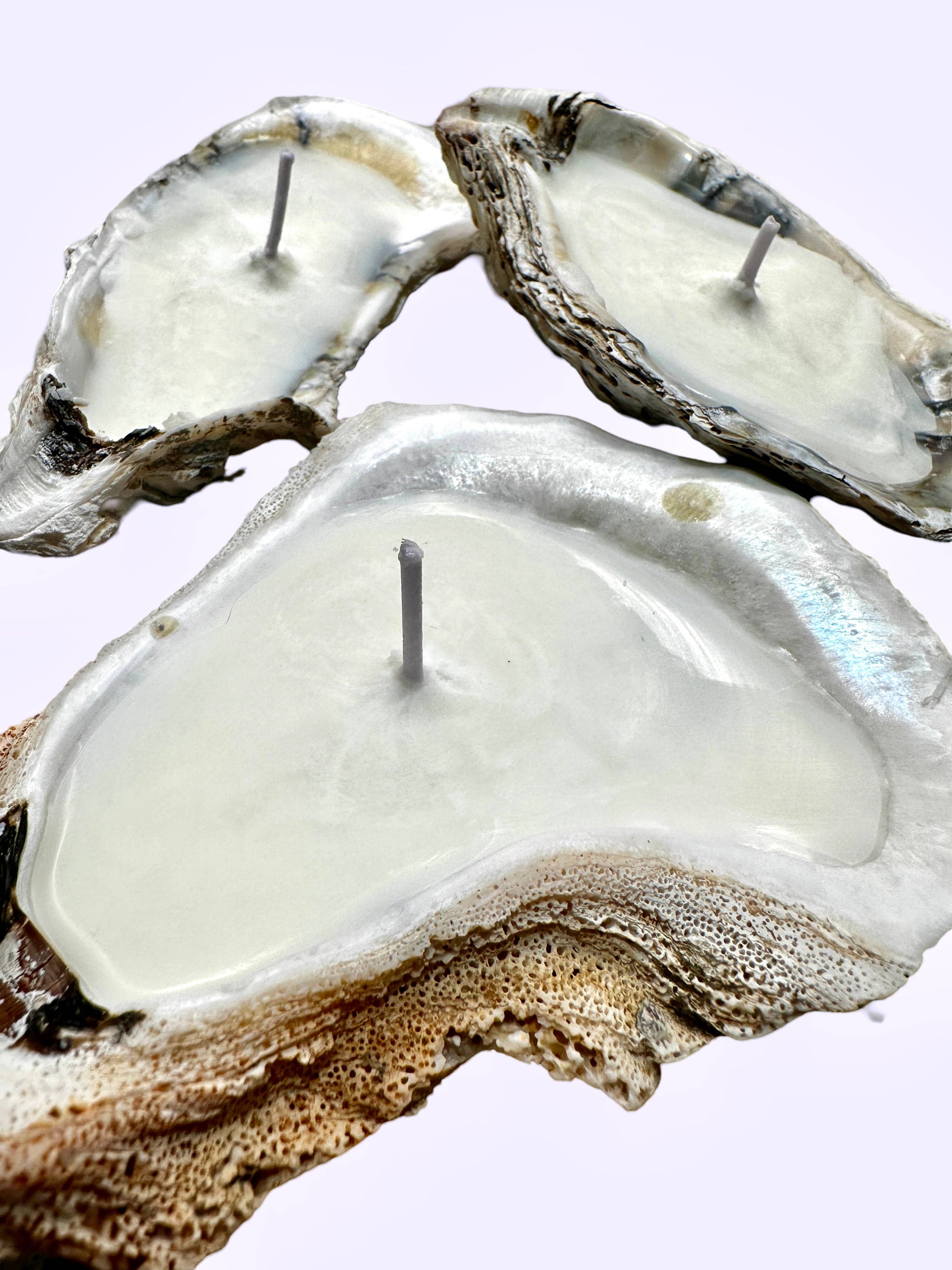 Oyster Shell Candle, Single