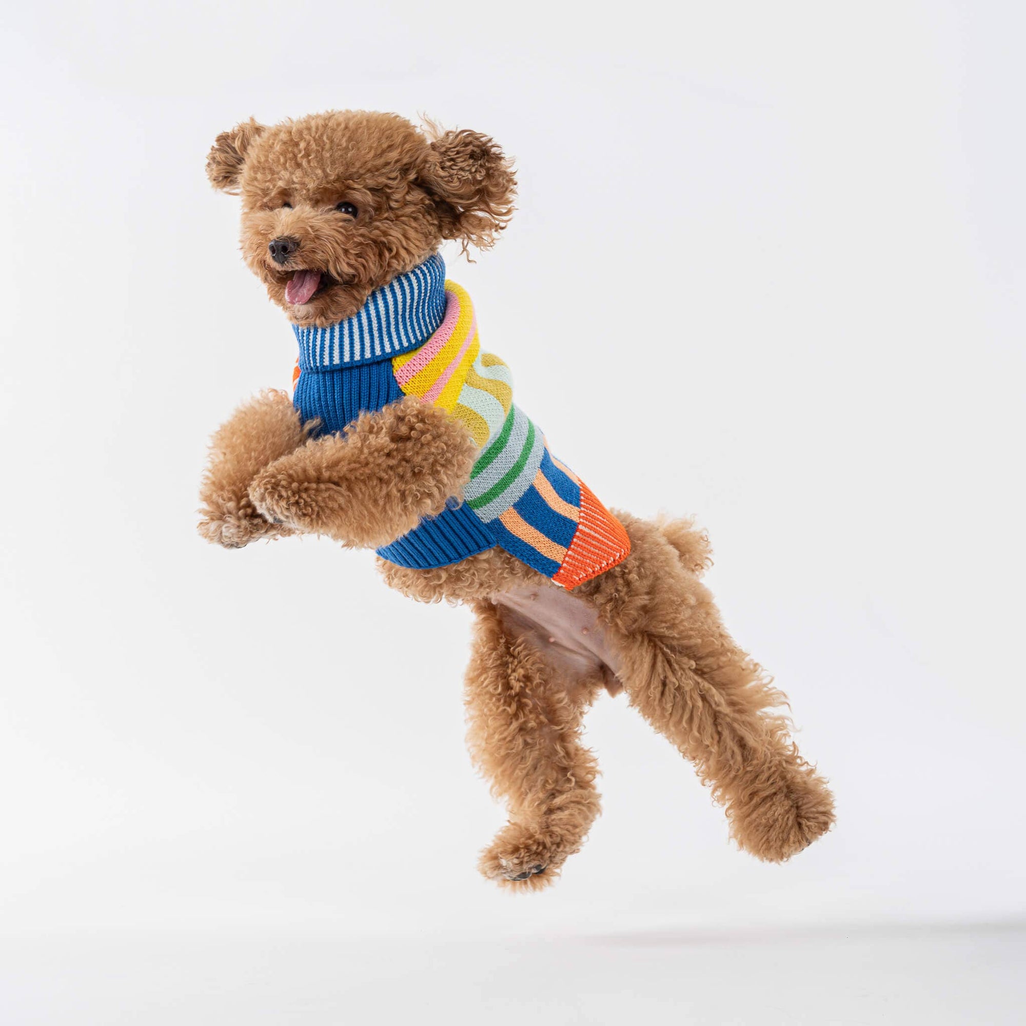 Patchwork Stripe Dog Sweater, Rainbow / L