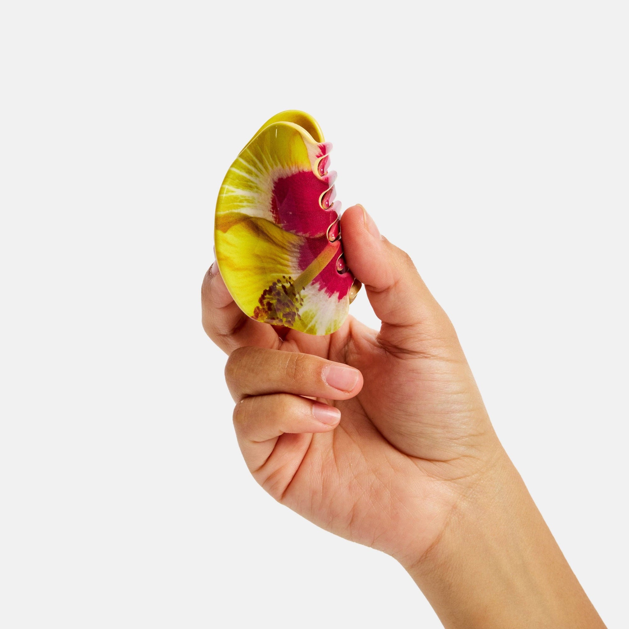 Juno Claw, Hibiscus Flower