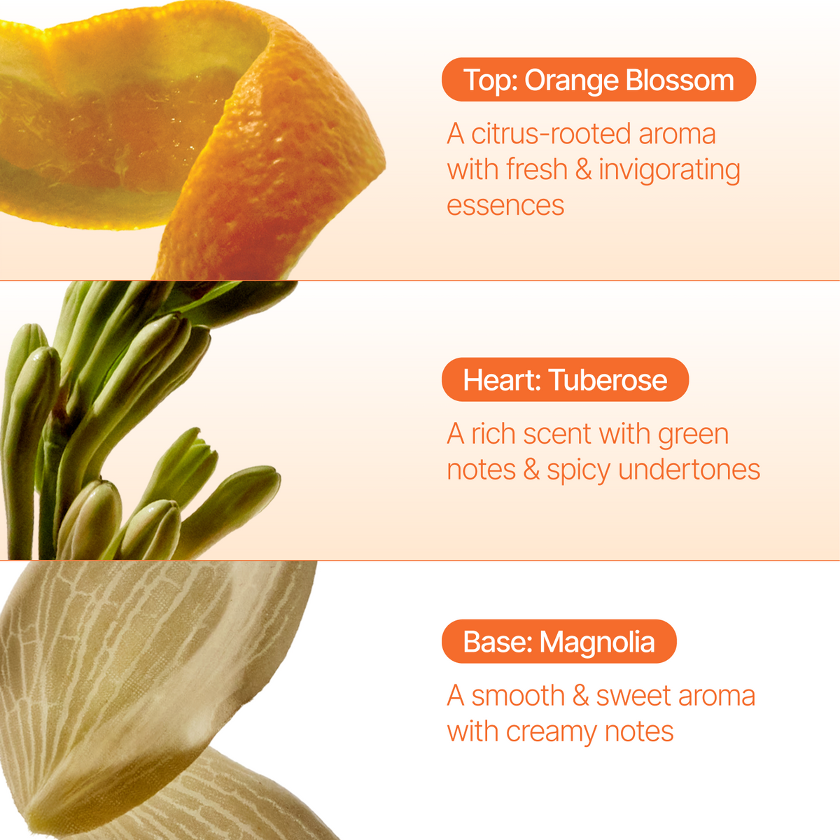Orange Blossom Reed Diffuser, 150ml
