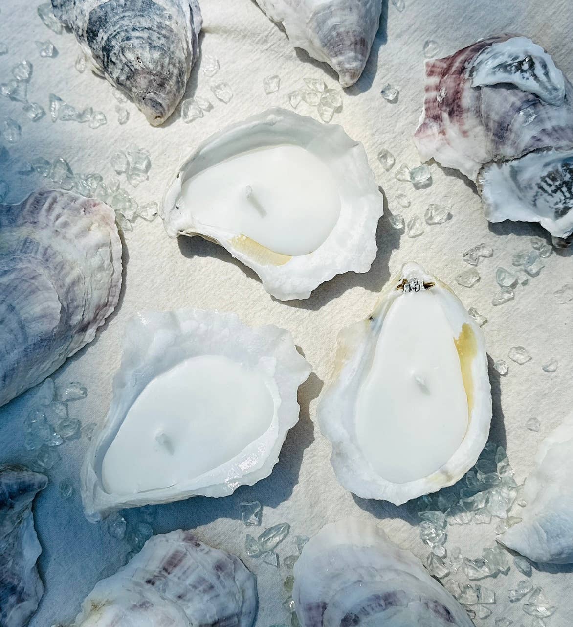 Oyster Shell Candle, Single