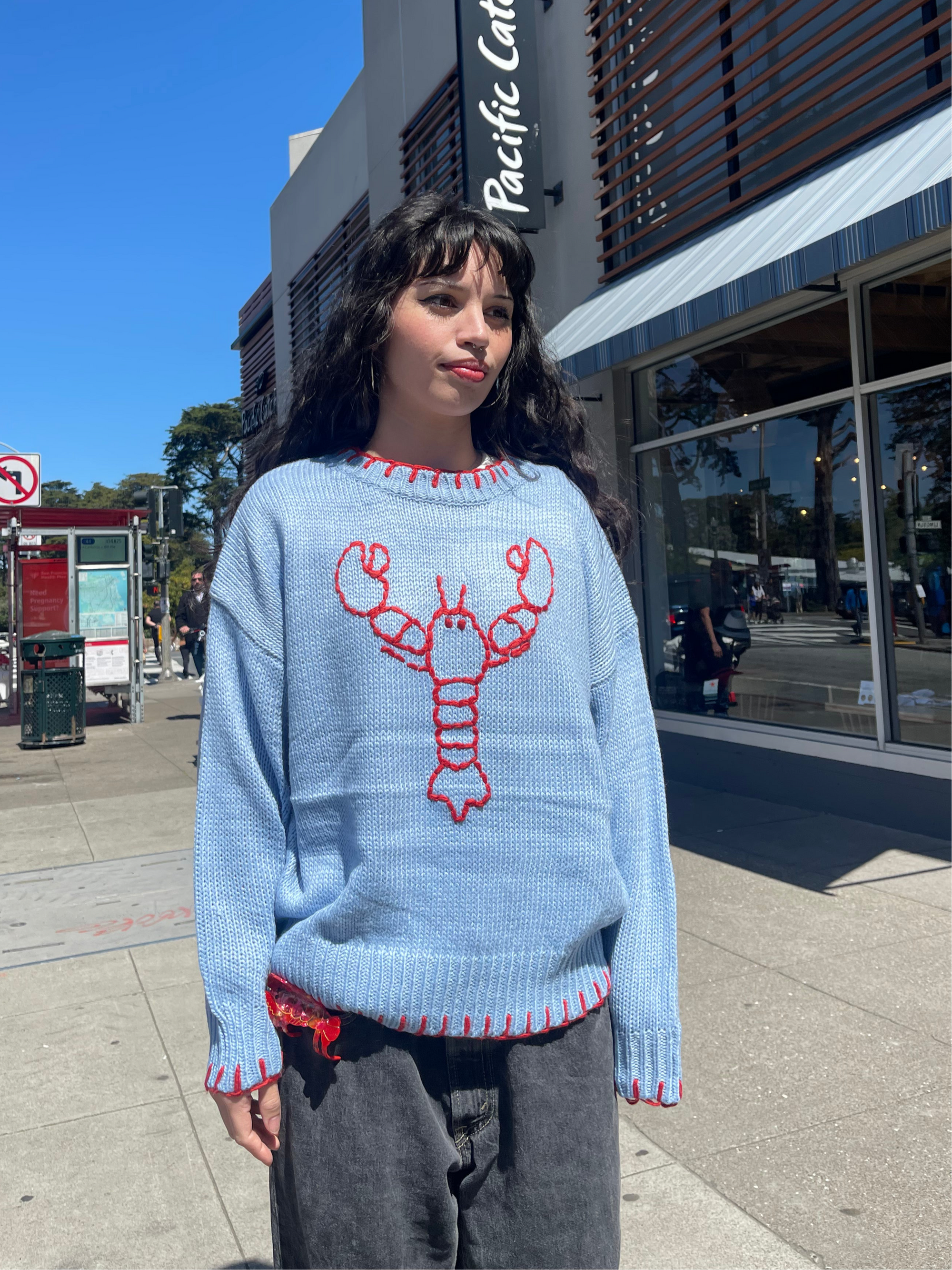 Lobster Stitched Hem Sweater
