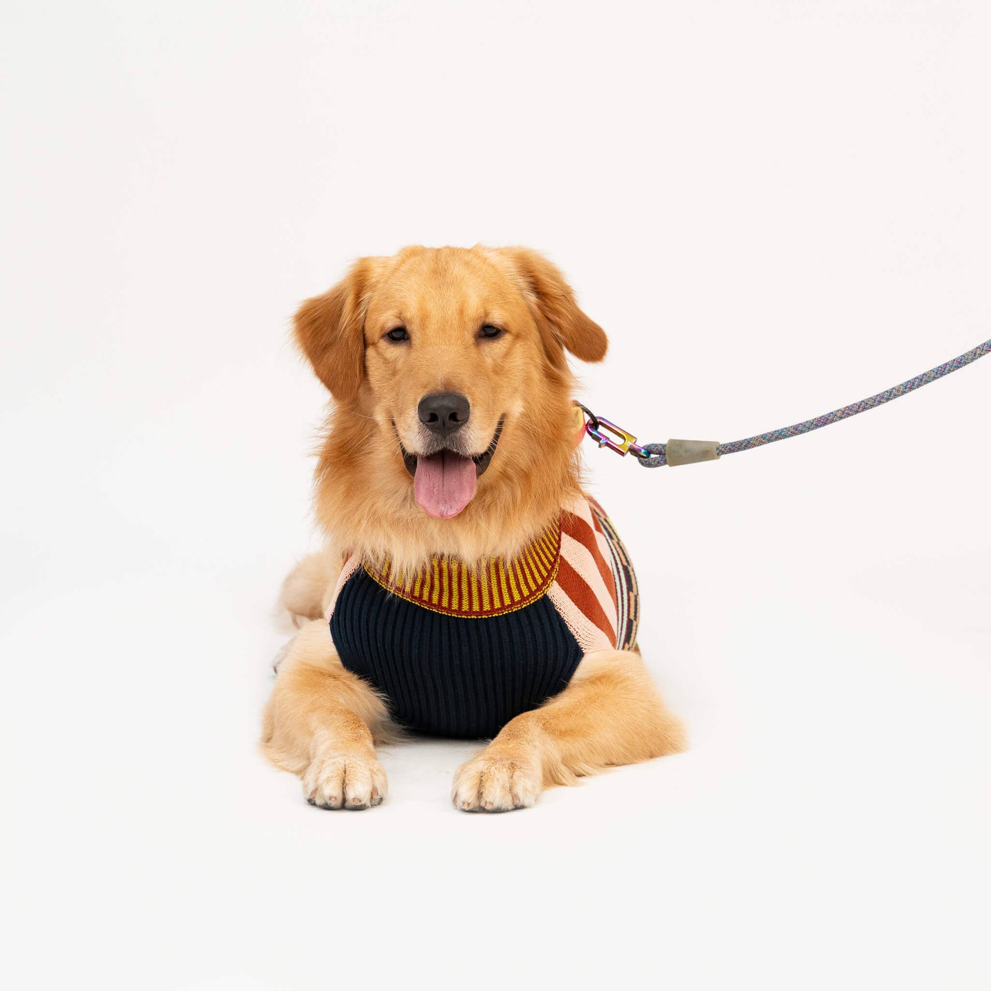 Pattern Patch Dog Sweater, Rainbow / M