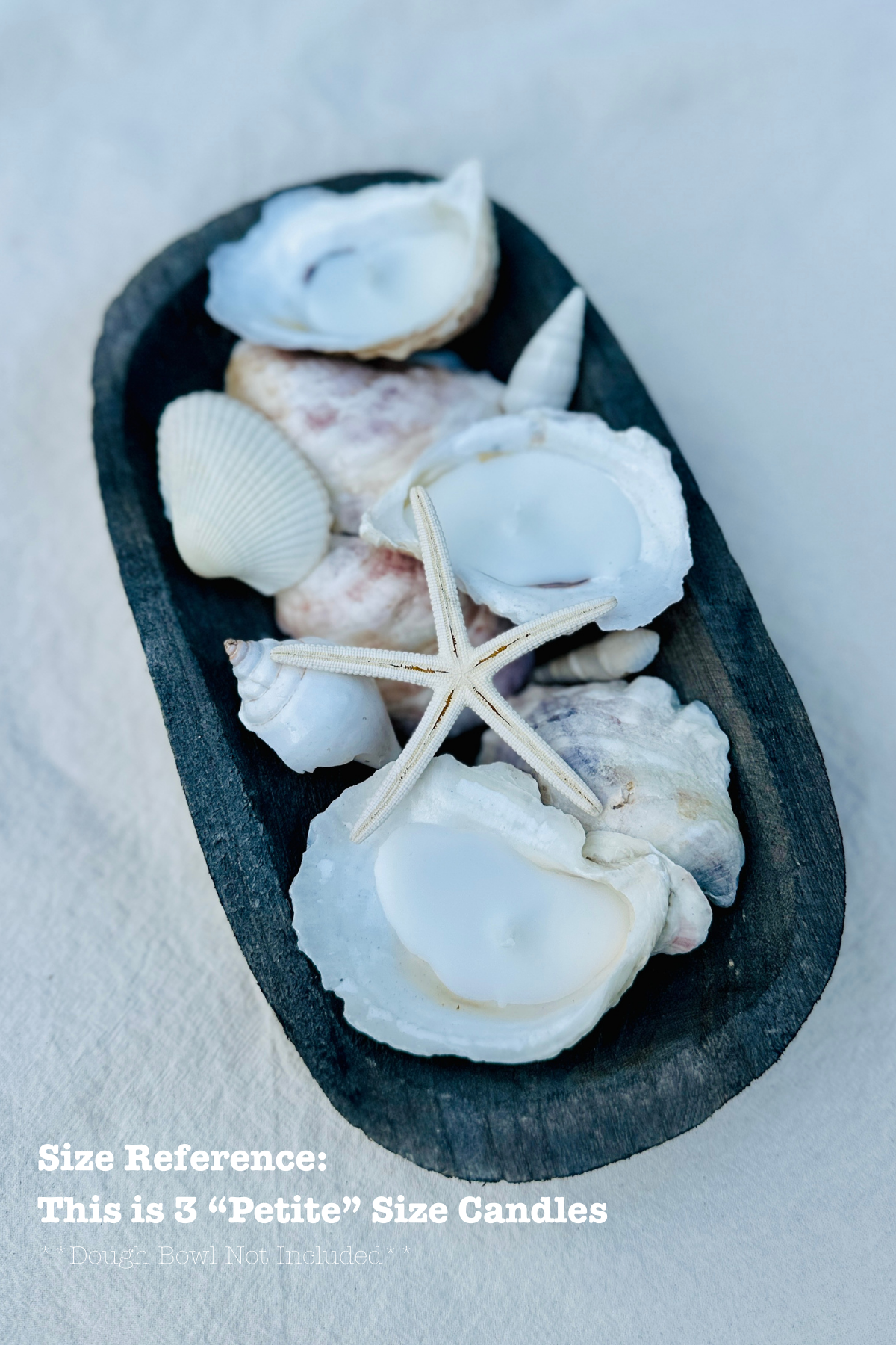 Oyster Shell Candle, Single