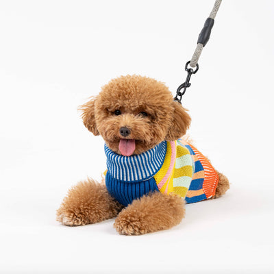 Pet
