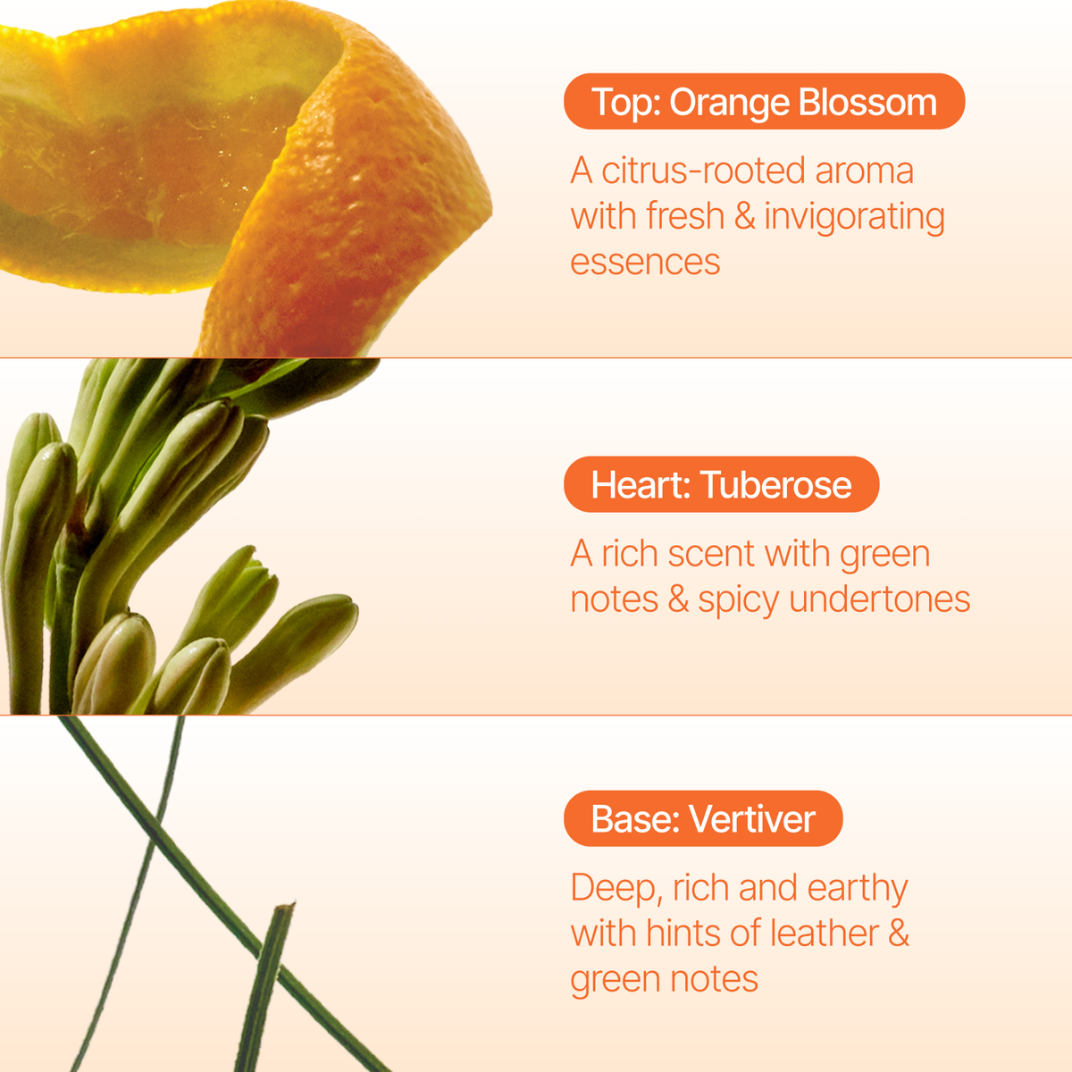 Orange Blossom Incense Drops, 26 Cones