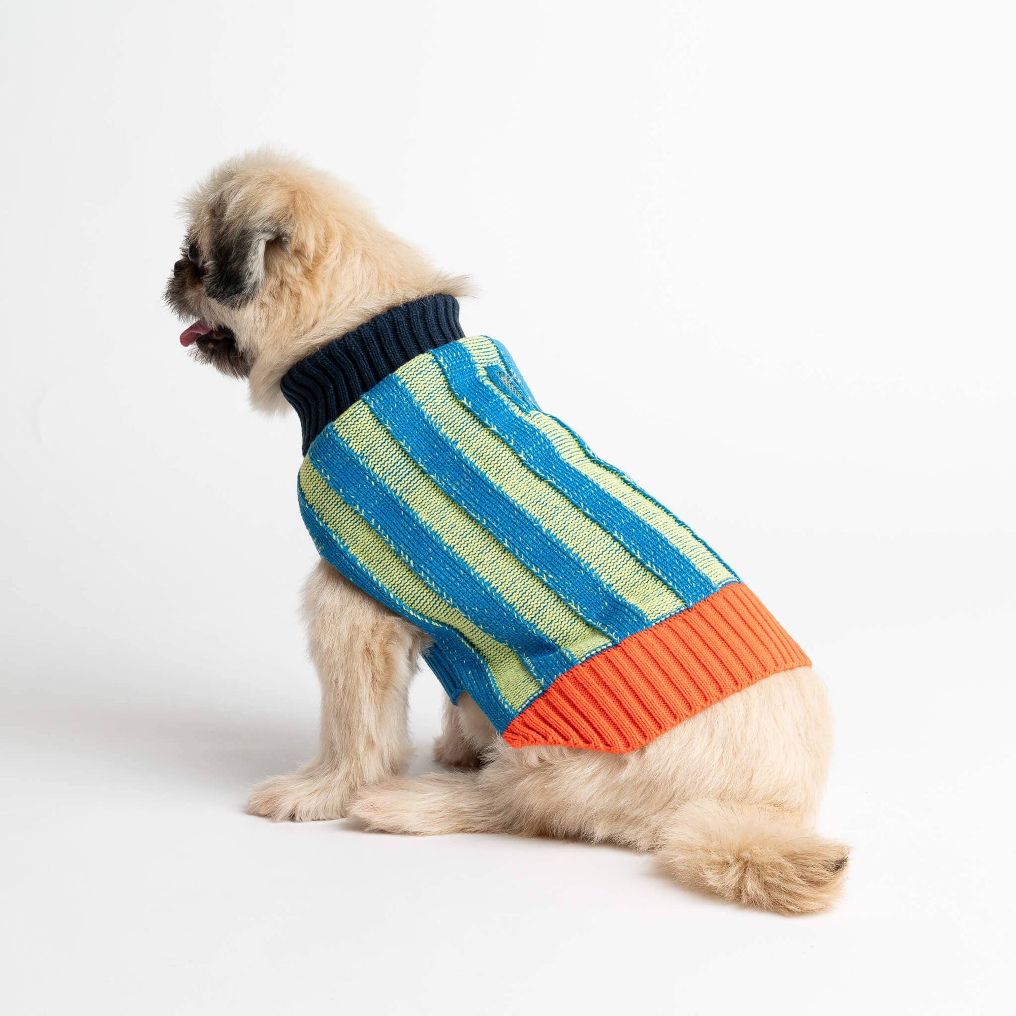 Striped Dog Sweater, Lime Cobalt / M