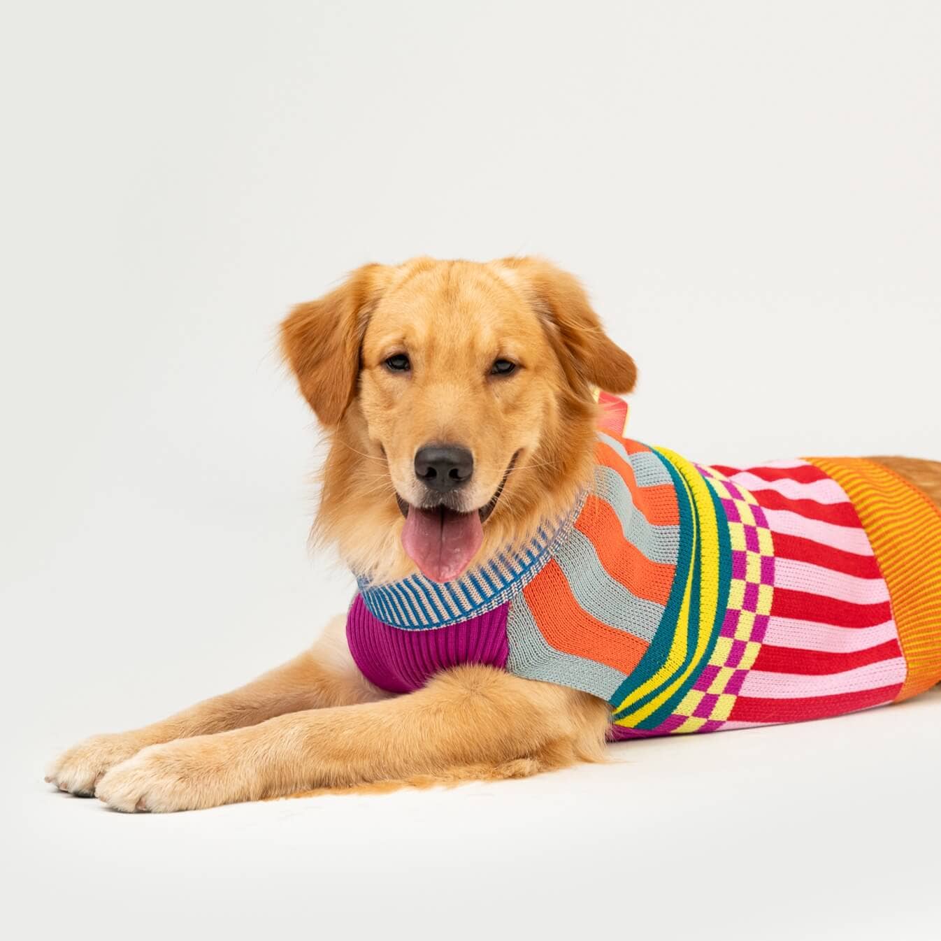 Pattern Patch Dog Sweater, Rainbow / M