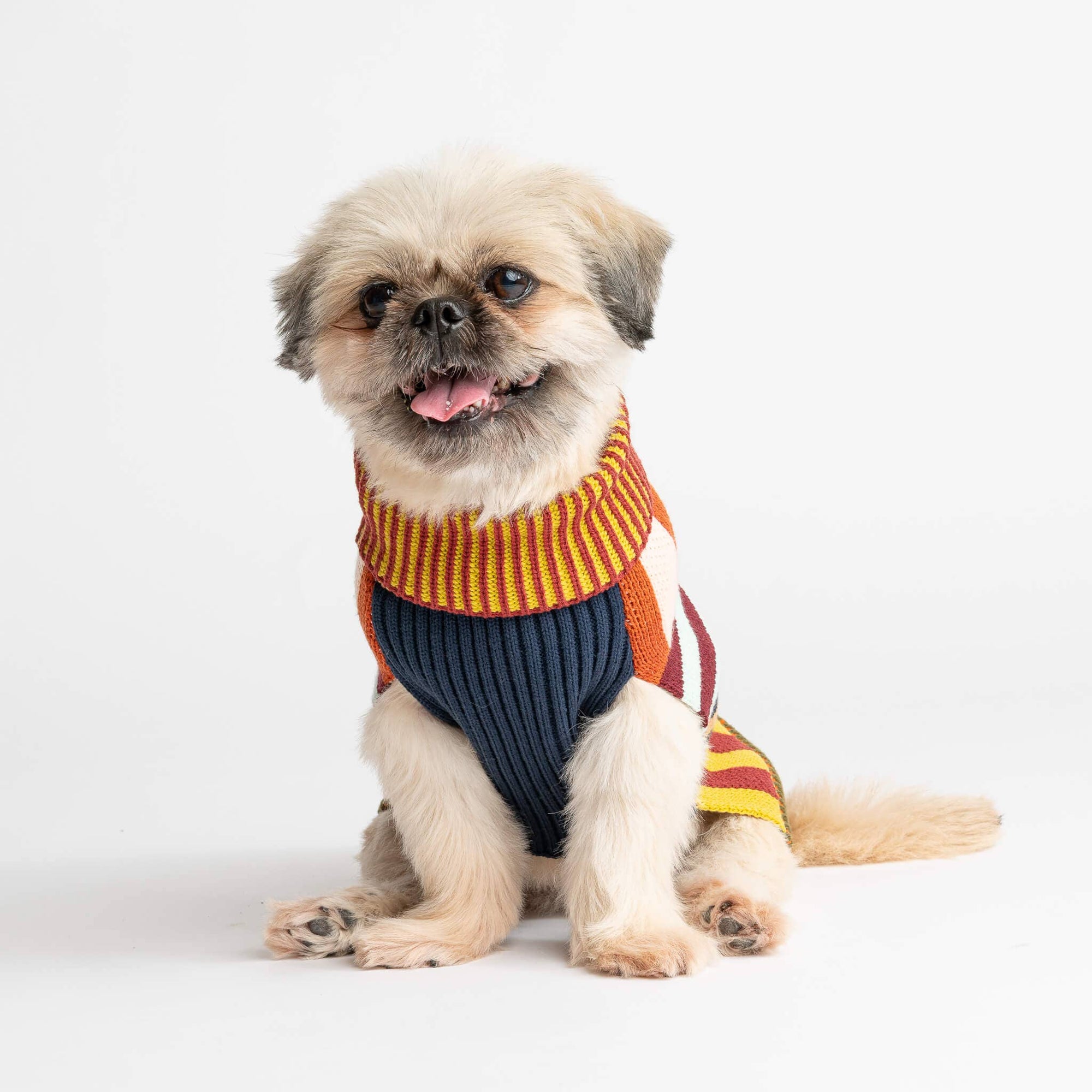 Pattern Patch Dog Sweater, Rainbow / M
