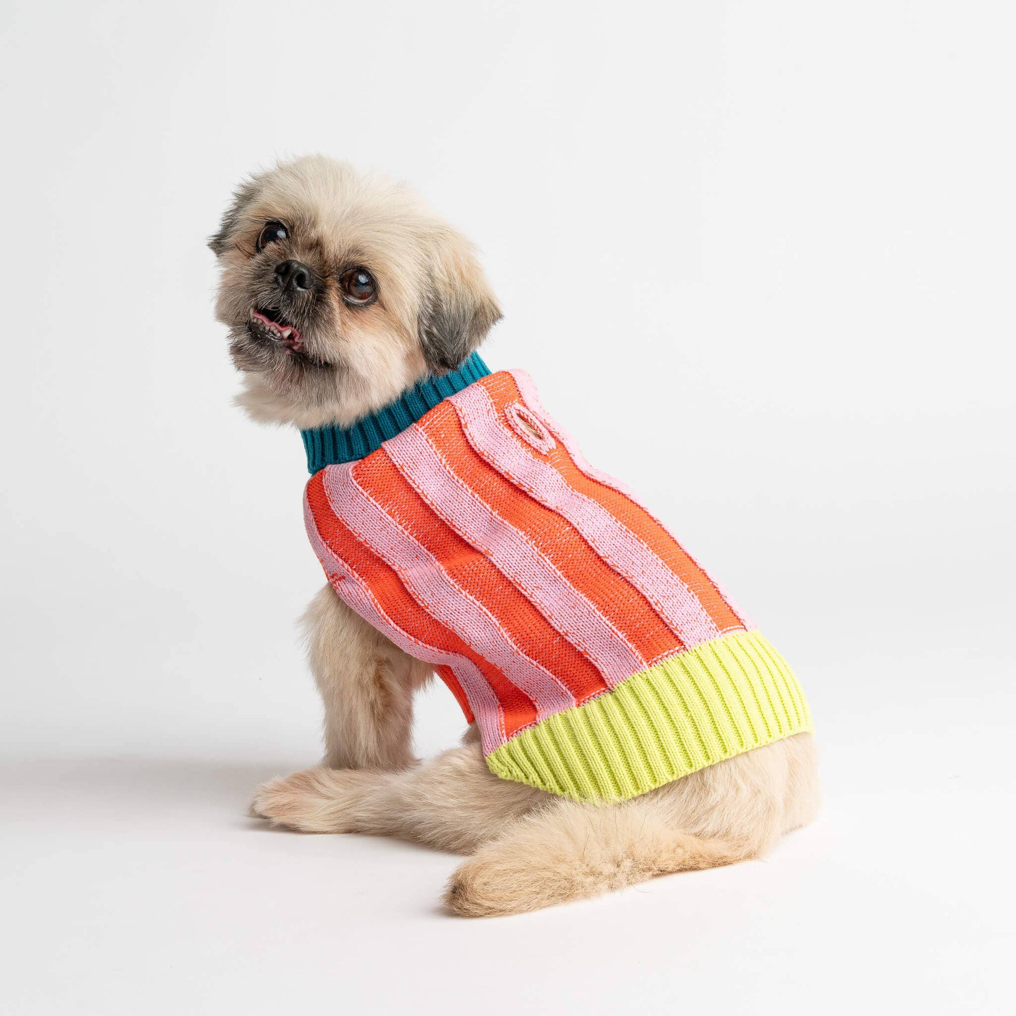 Striped Dog Sweater, Lime Cobalt / M