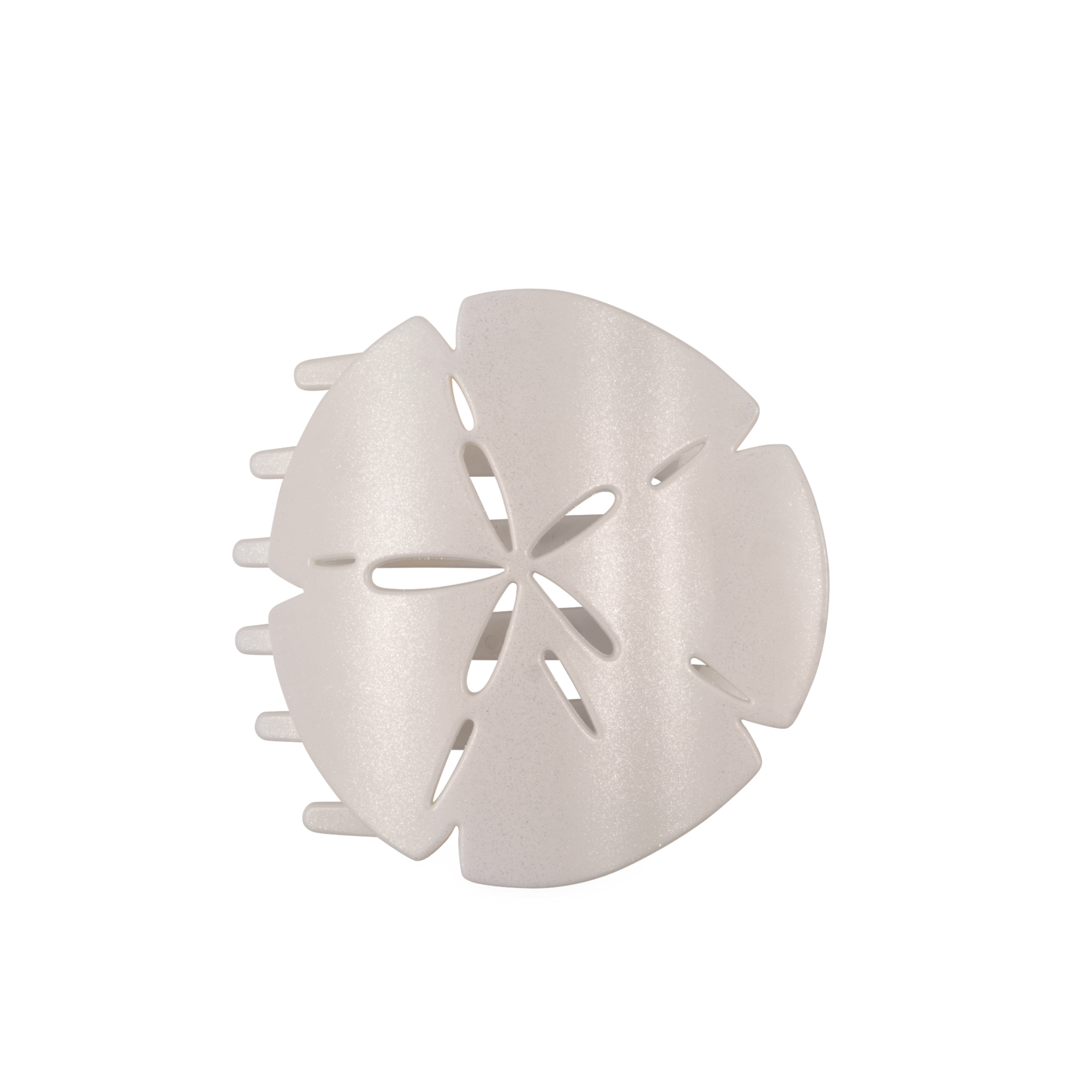 Sand Dollar, Large, Flat Shape Hair Clip