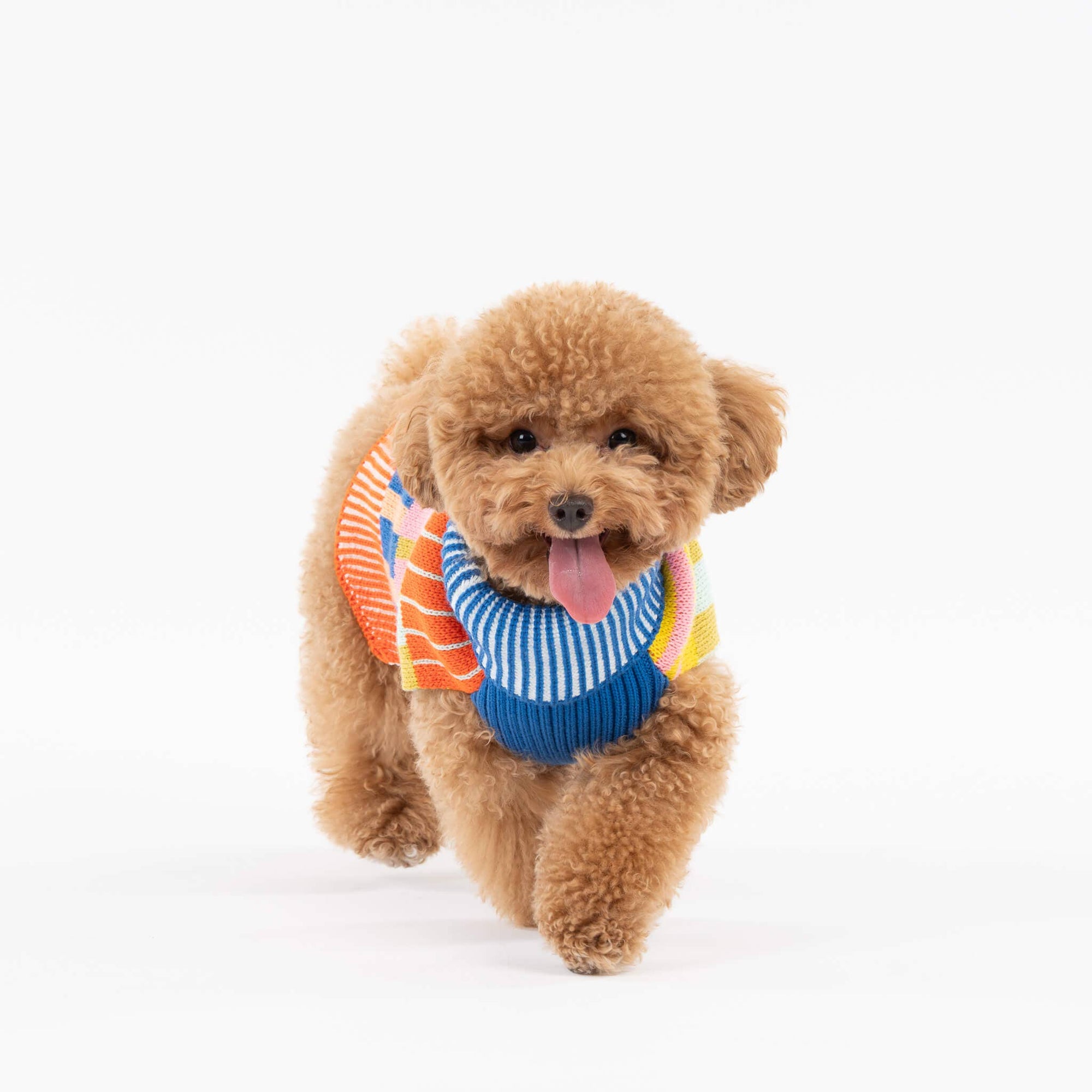Patchwork Stripe Dog Sweater, Rainbow / L