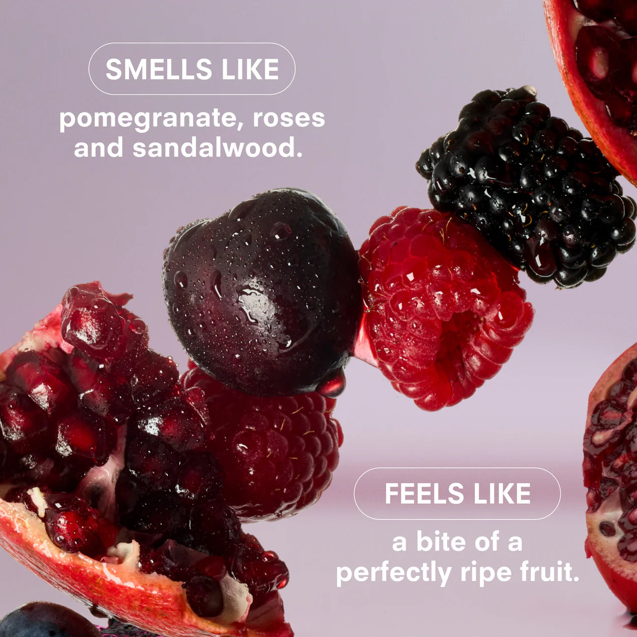 Travel Perfume Gift Set