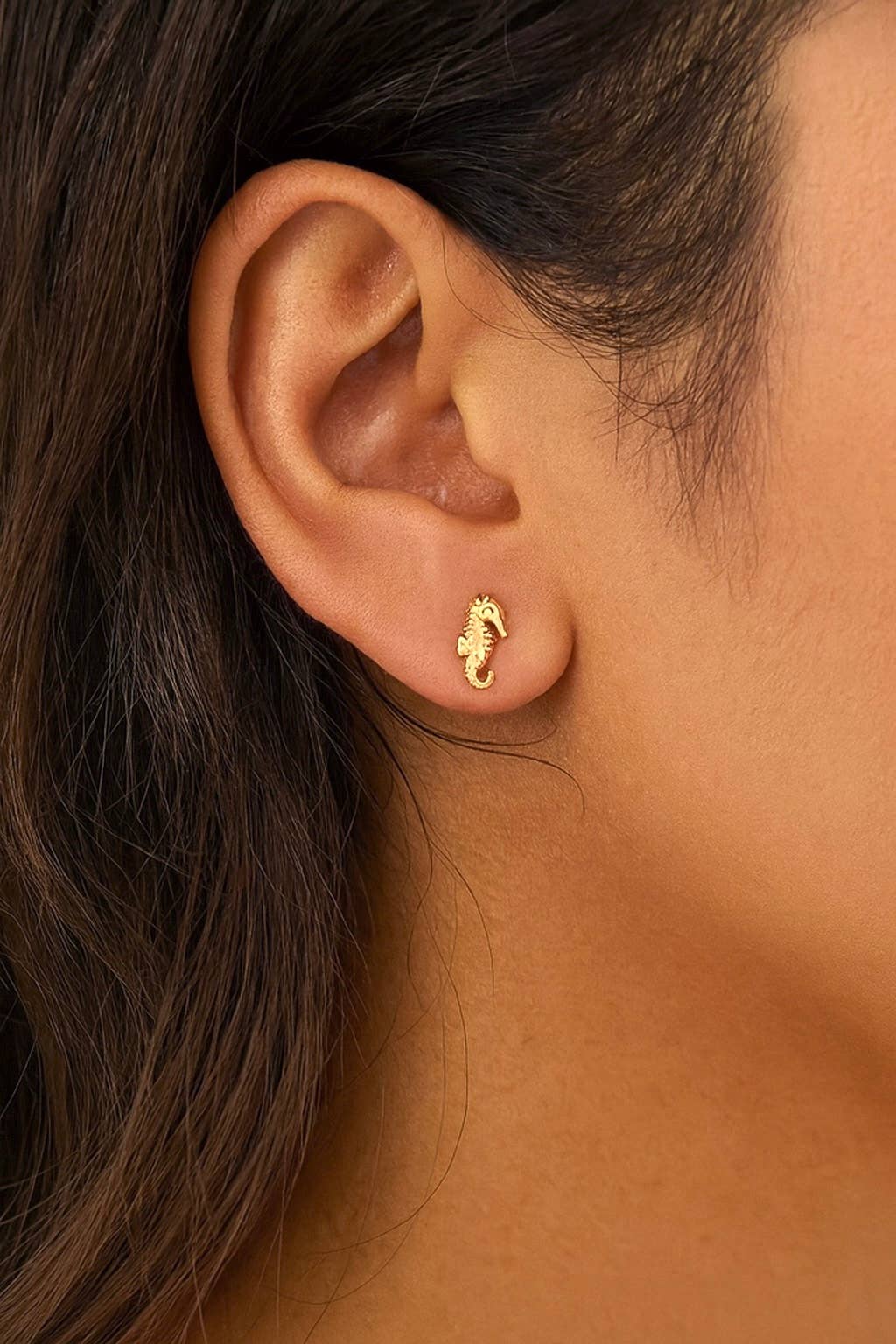 Seahorse Studs