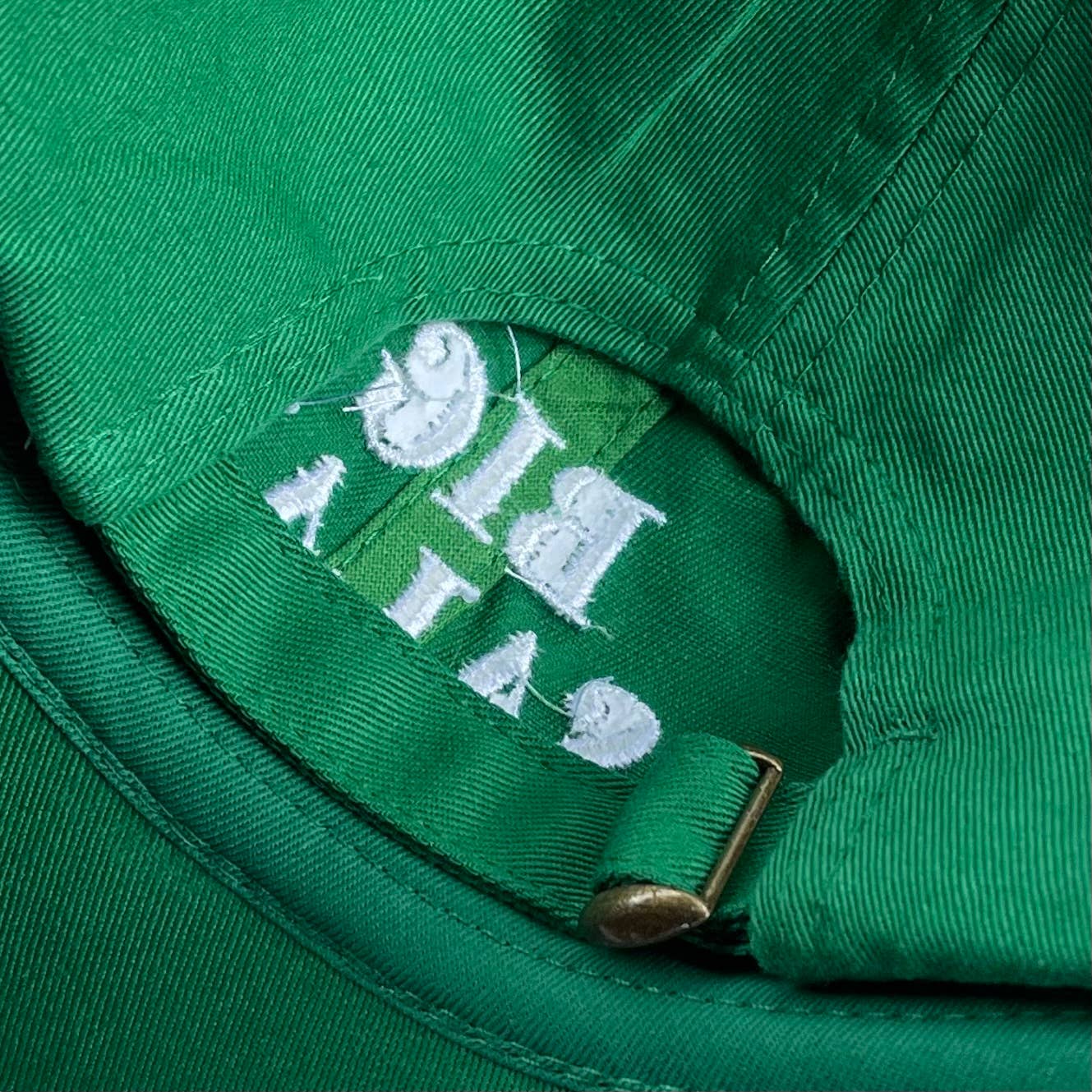Big Salad Dad Hat