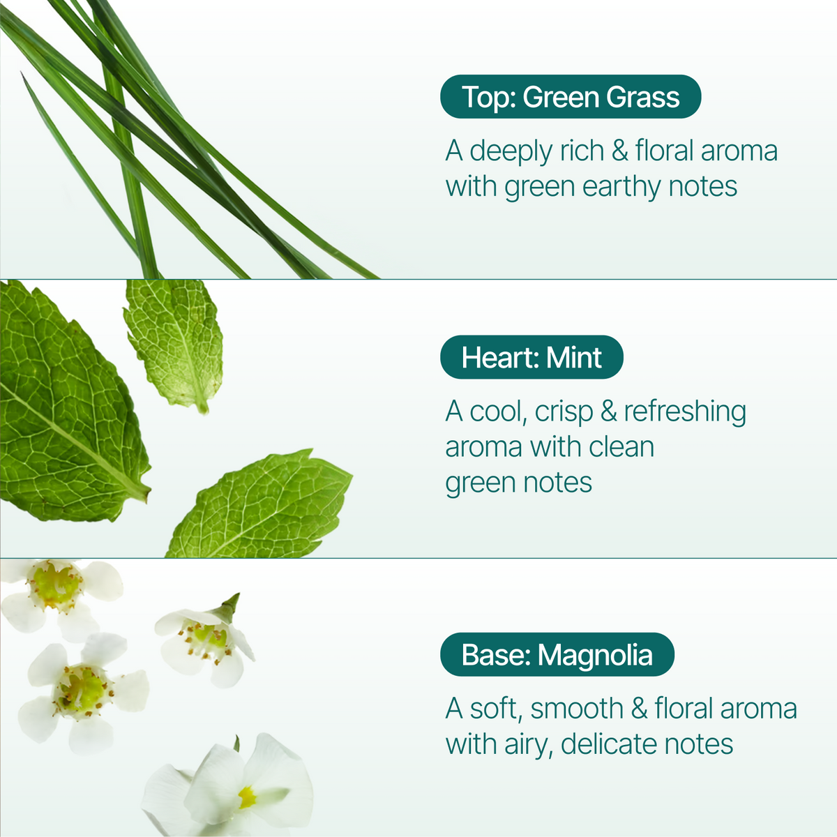 Green Grass Reed Diffuser, 150ml