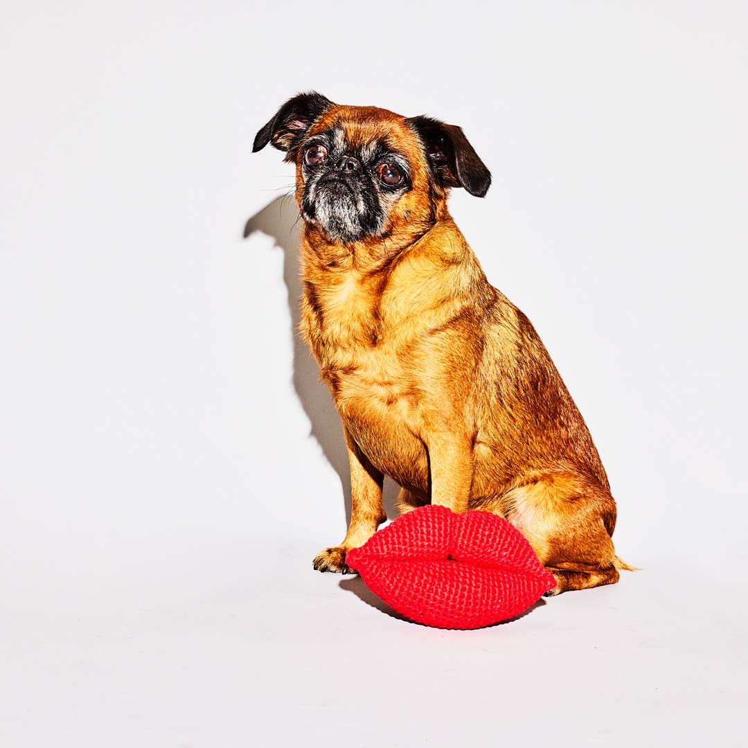 Cotton Crochet Lips Dog Toy