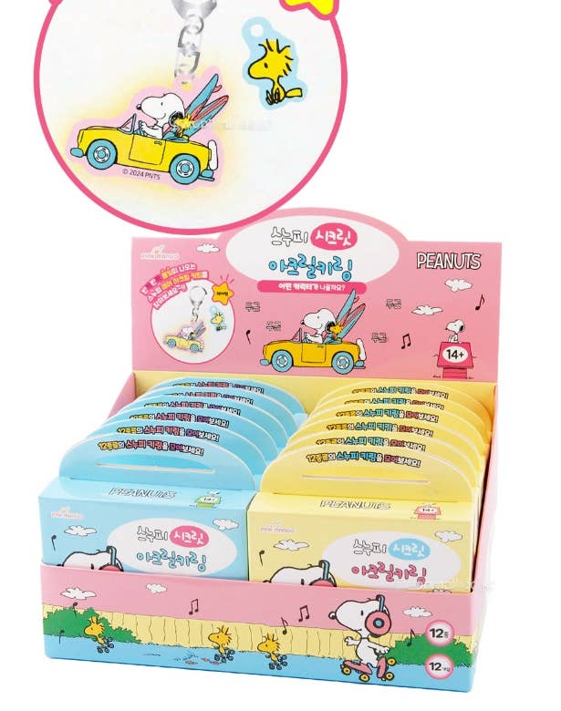 Snoopy Acrylic Keyring Blind Box