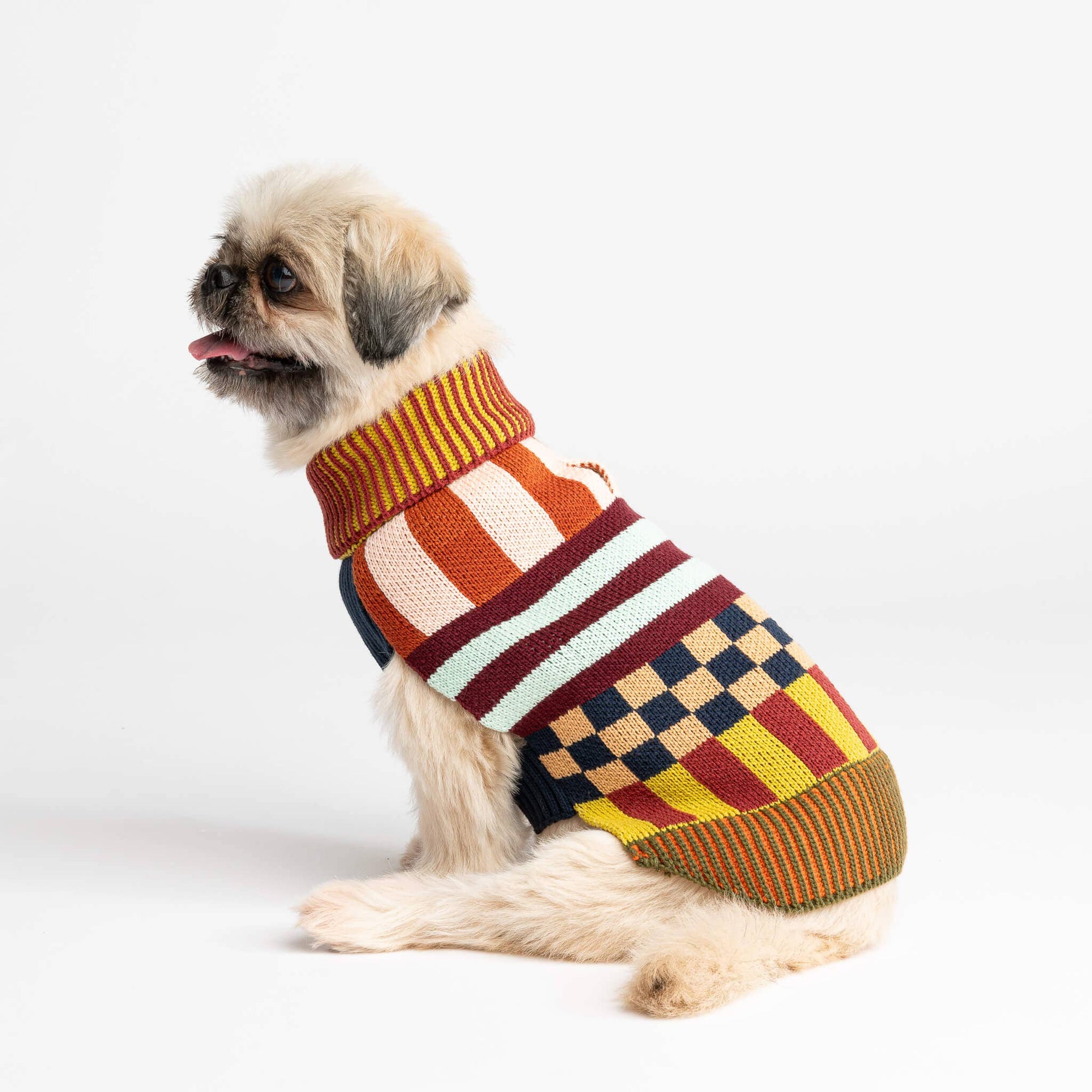 Pattern Patch Dog Sweater, Rainbow / M