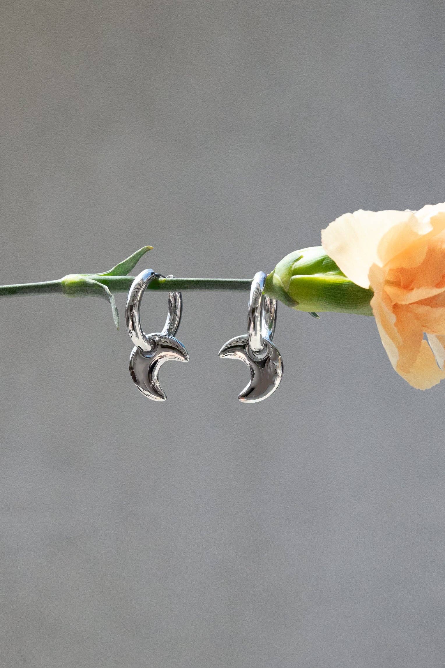Luna Hoops, Silver