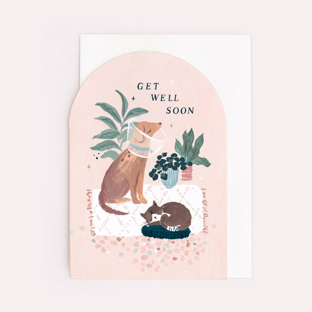 Cat & Dog Get Well Soon Card