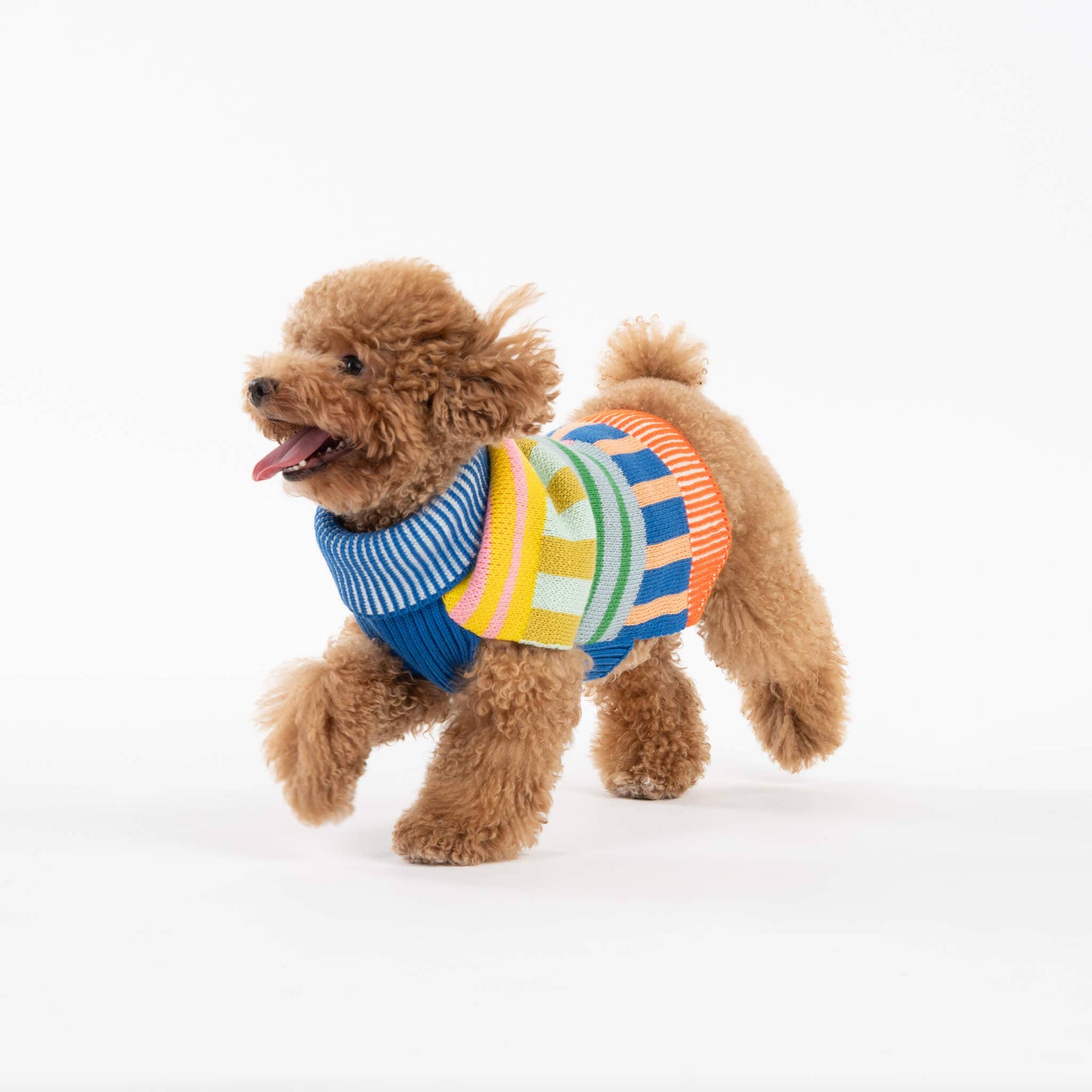 Patchwork Stripe Dog Sweater, Rainbow / L