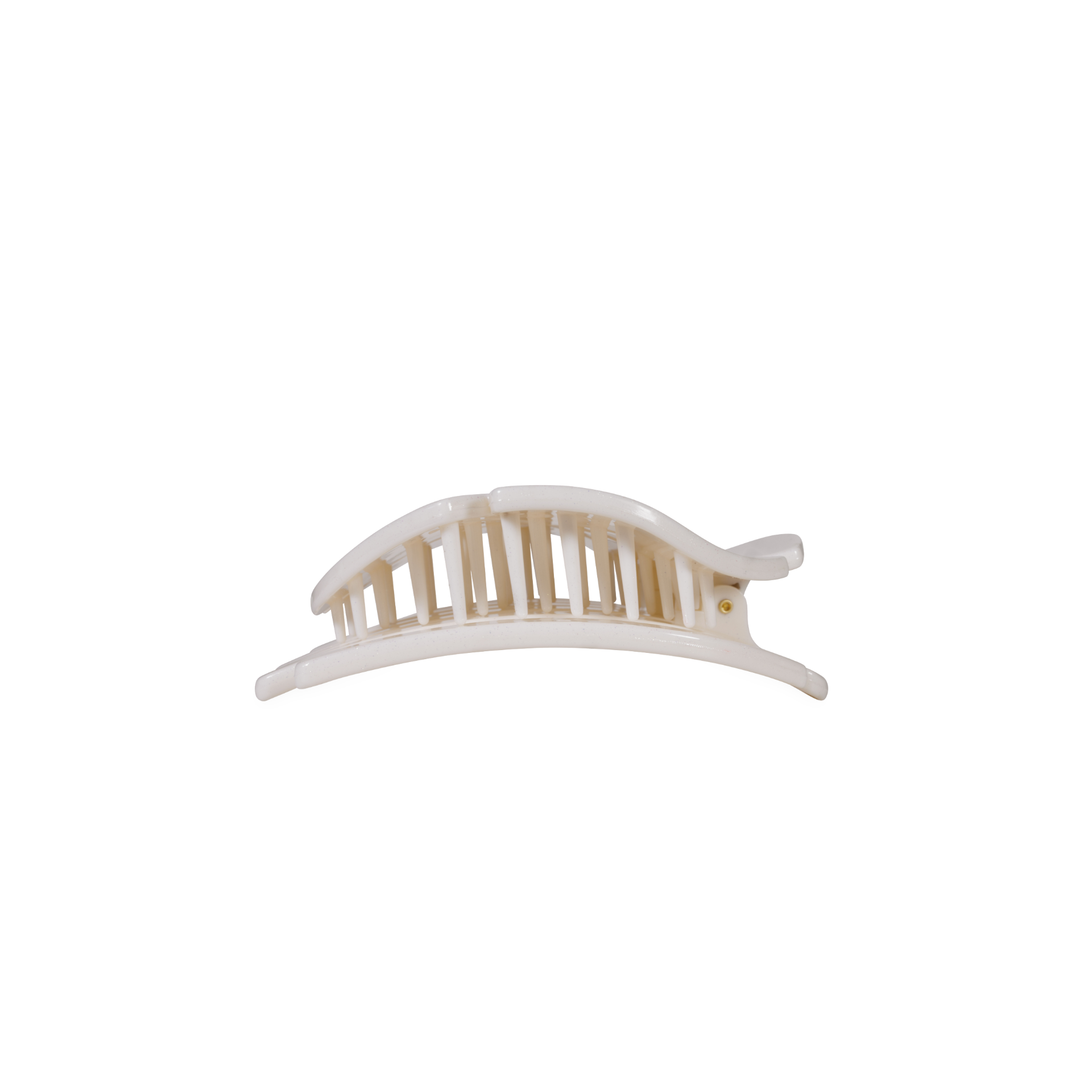 Sand Dollar, Small, Flat Shape Hair Clip
