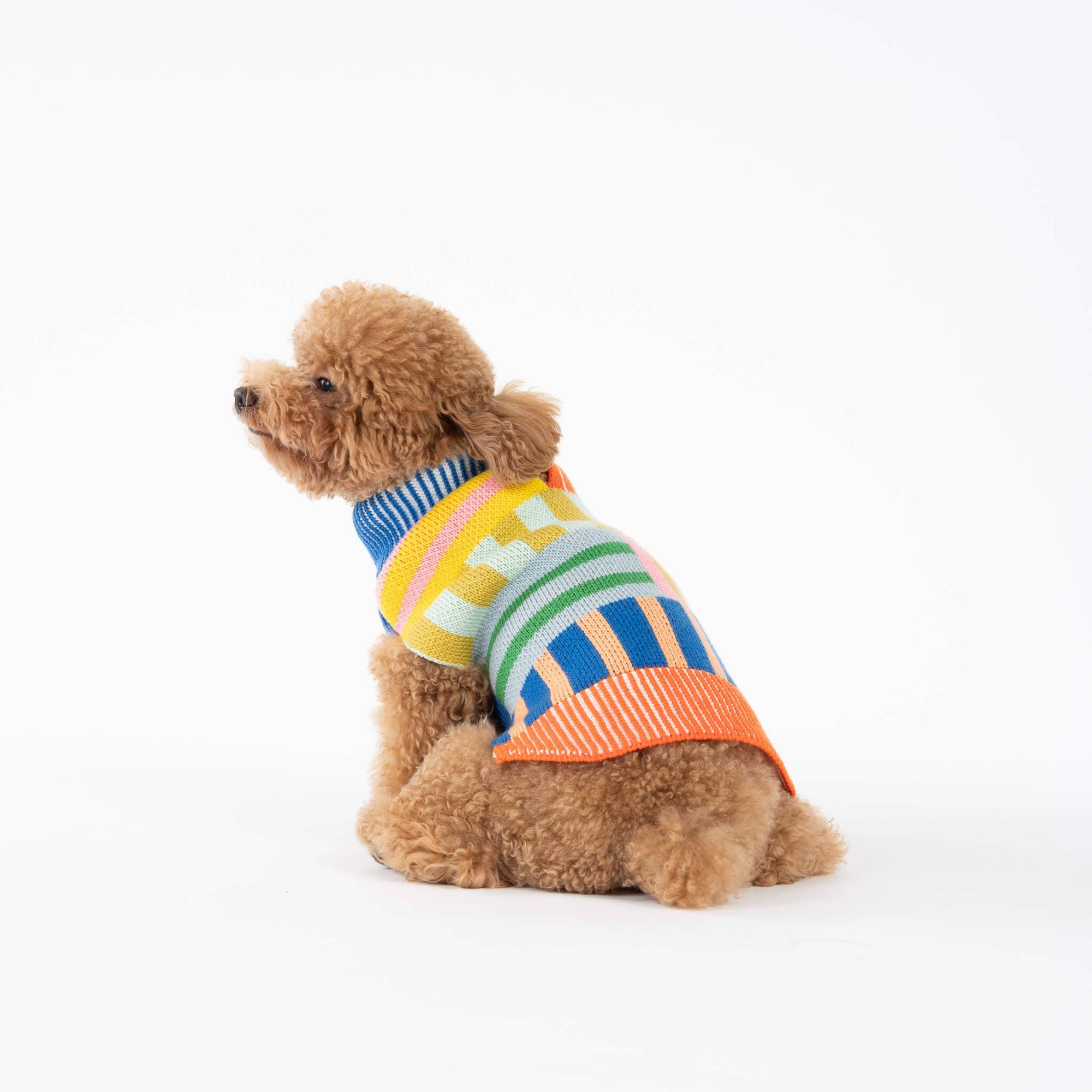 Patchwork Stripe Dog Sweater, Rainbow / L