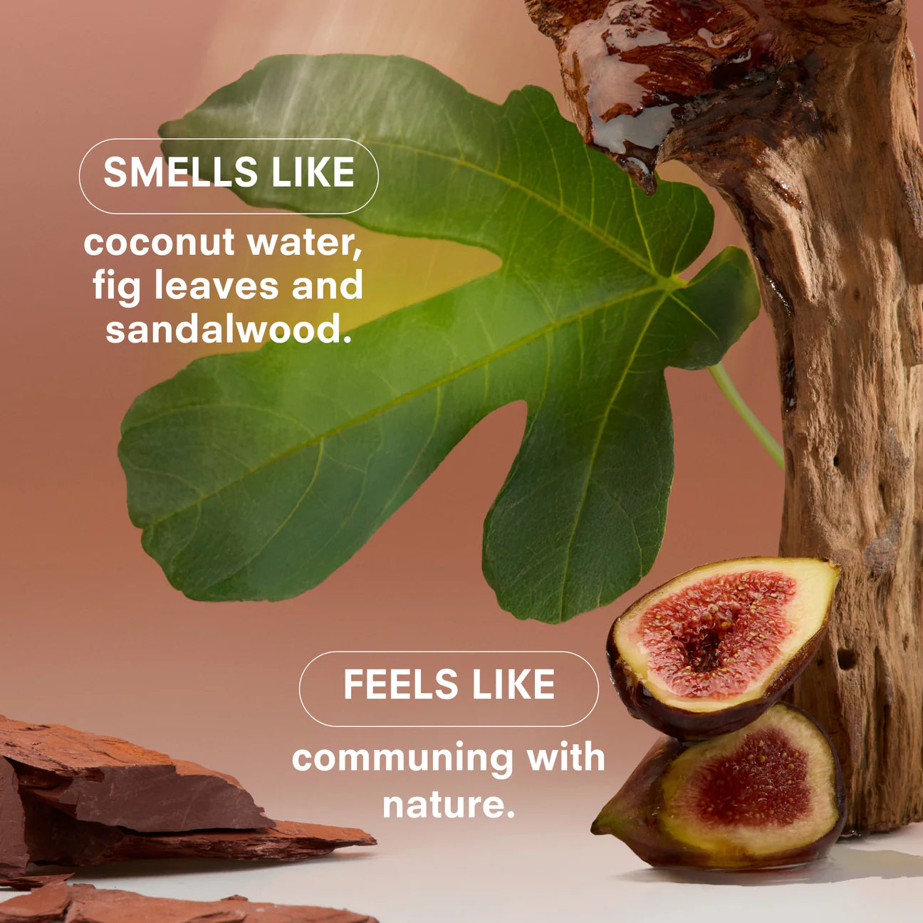 Travel Perfume Gift Set