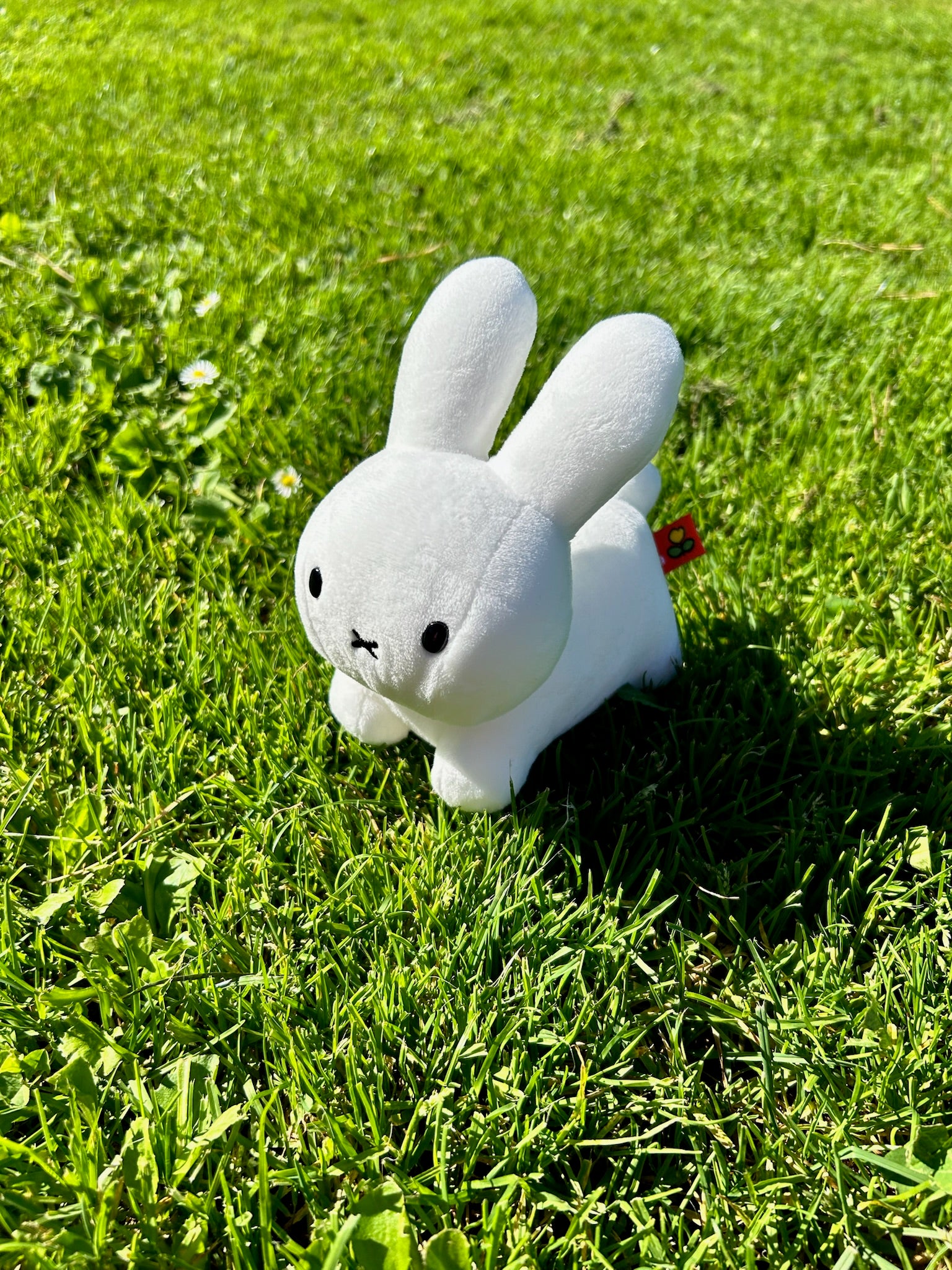 Hopping Bunny Plush, White