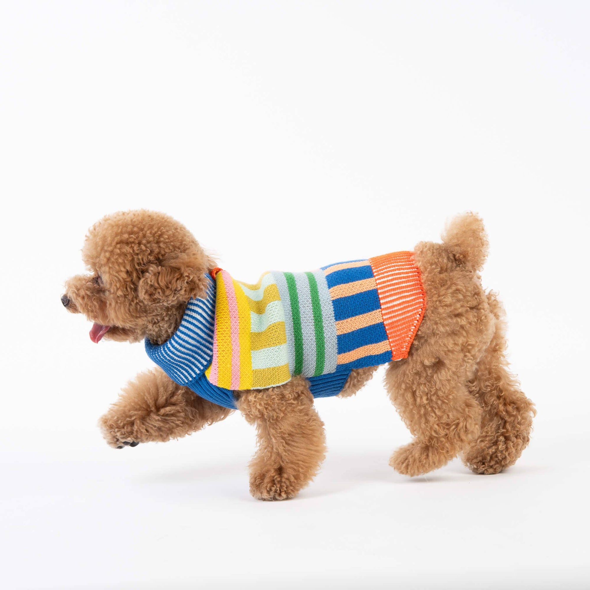 Patchwork Stripe Dog Sweater, Rainbow / L