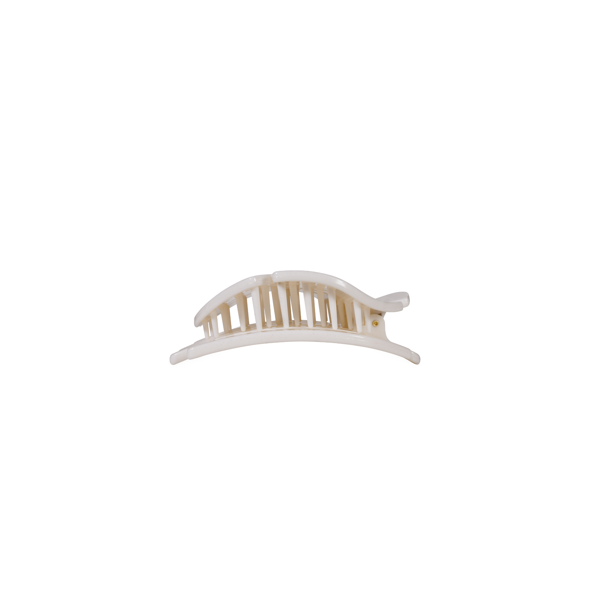 Sand Dollar, Tiny, Flat Shape Hair Clip