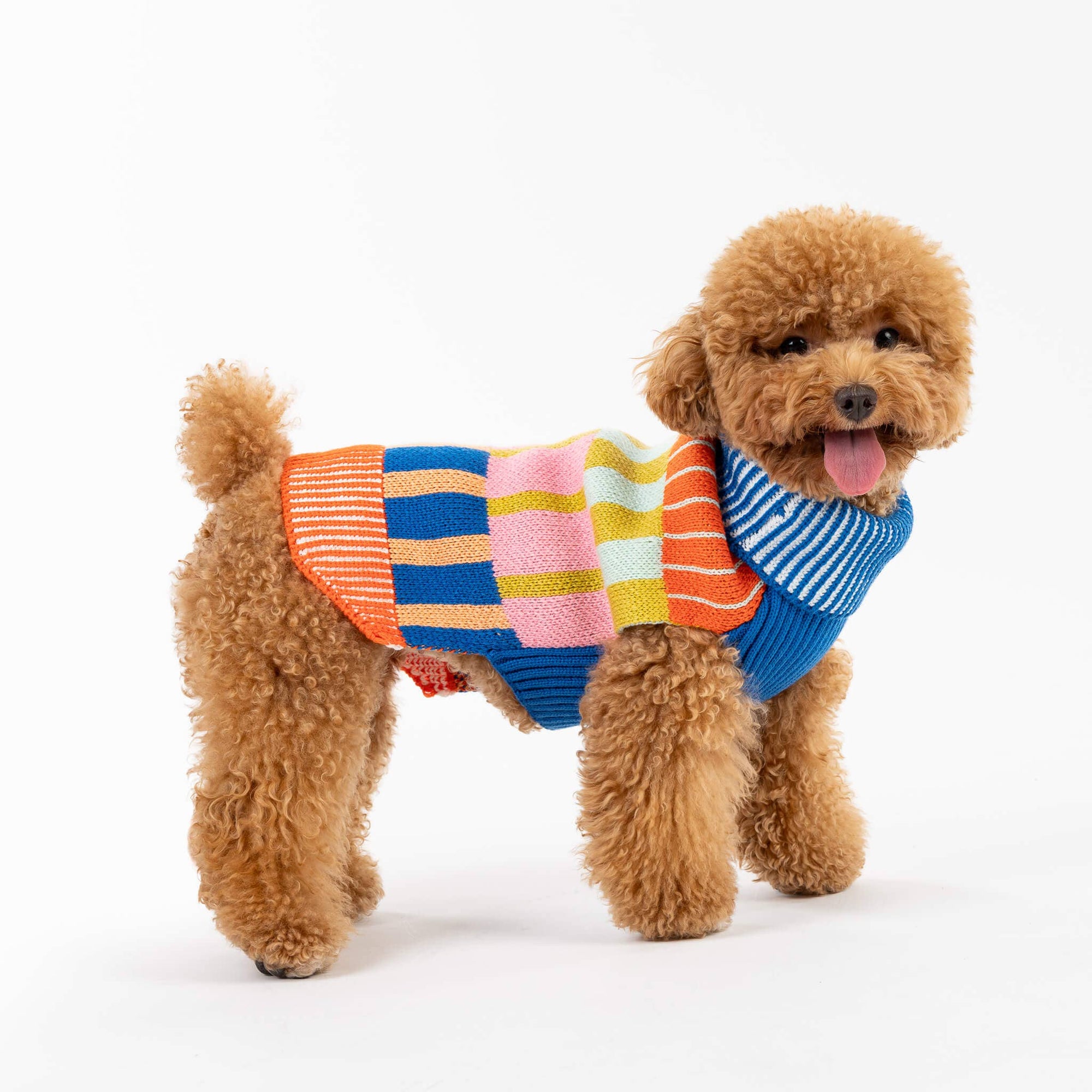 Patchwork Stripe Dog Sweater, Rainbow / L