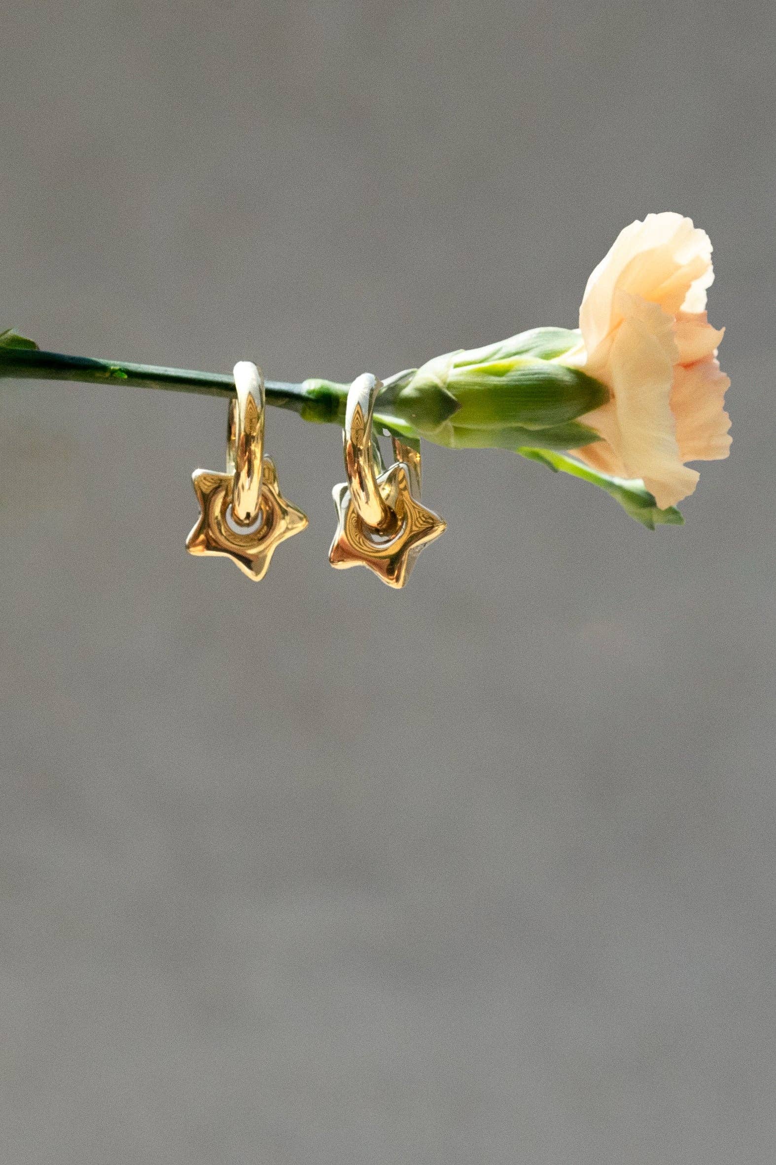 Estrella Hoops