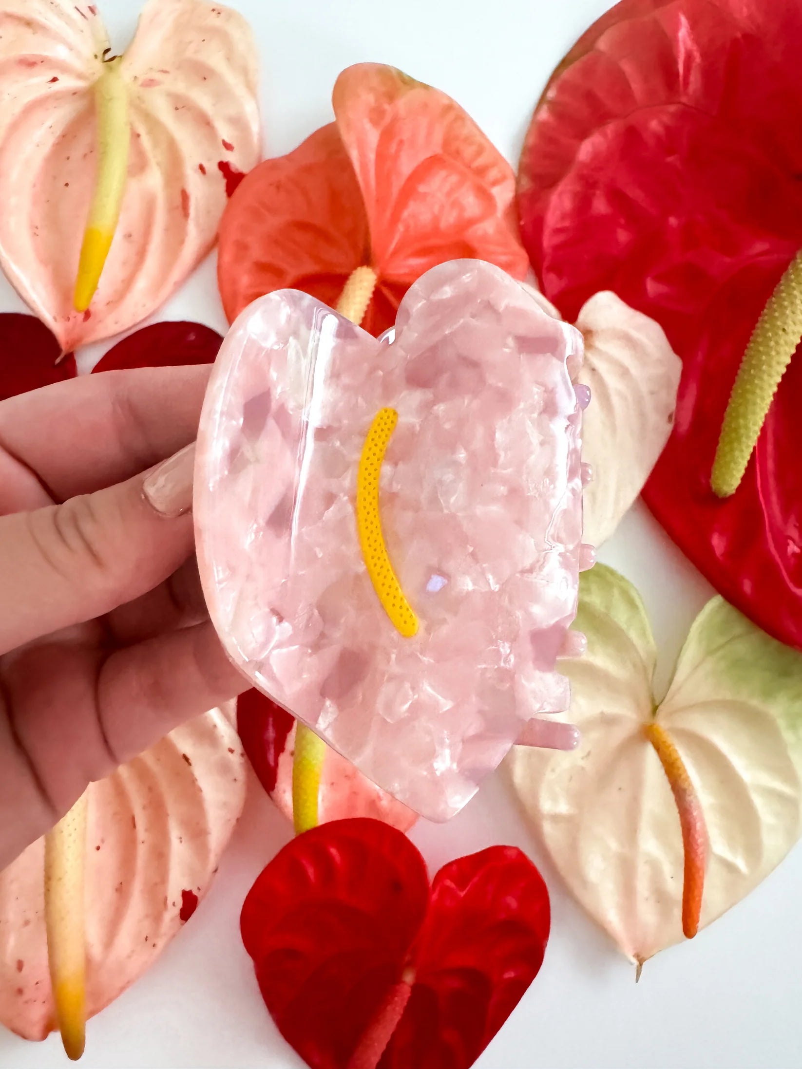 Pink Anthurium Claw