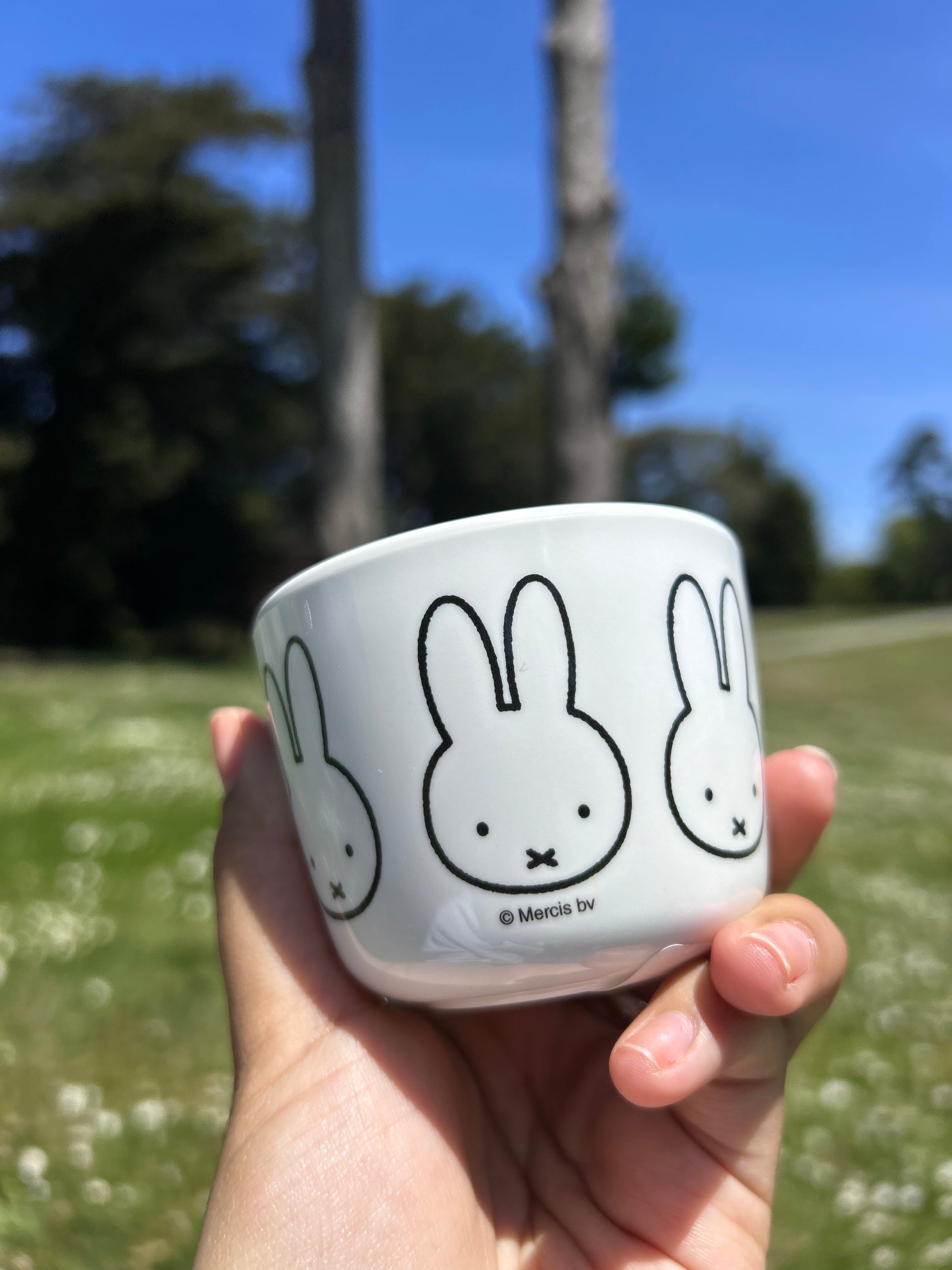 Miffy Teacup, Multi