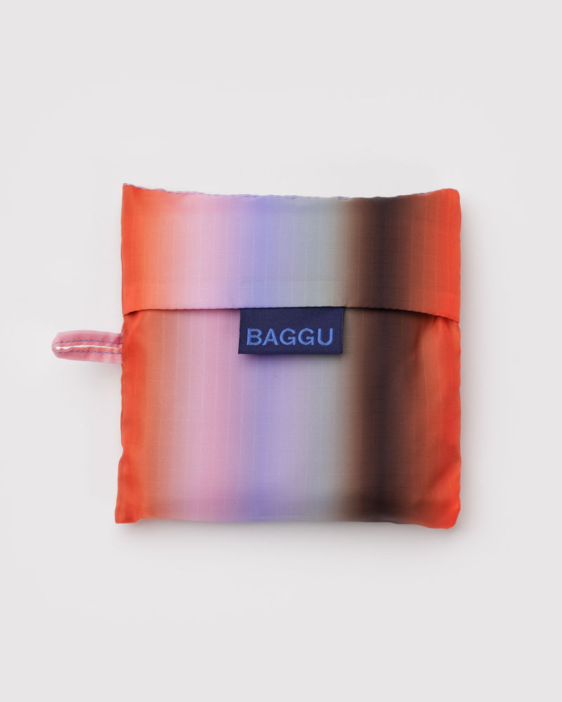 Standard Baggu, Gradient Stripe Poppy & Lilac