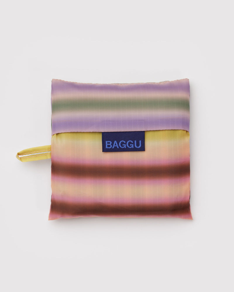 Standard Baggu, Gradient Stripe Multi