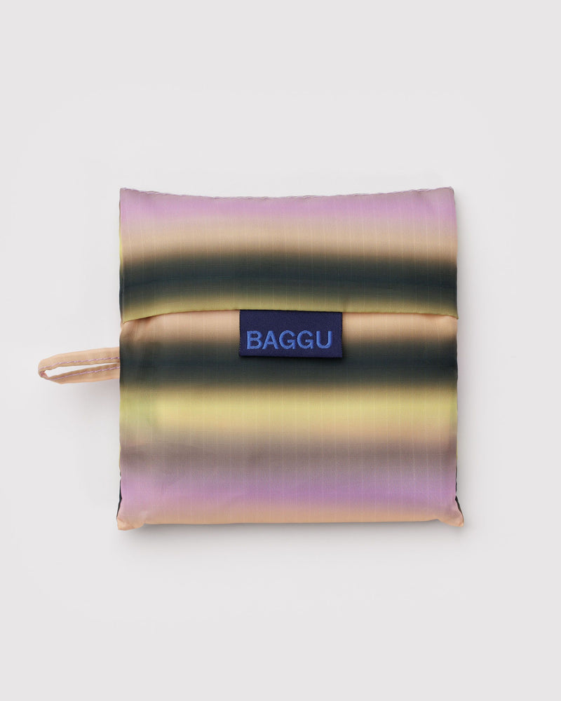 Standard Baggu, Gradient Stripe Pink & Yellow