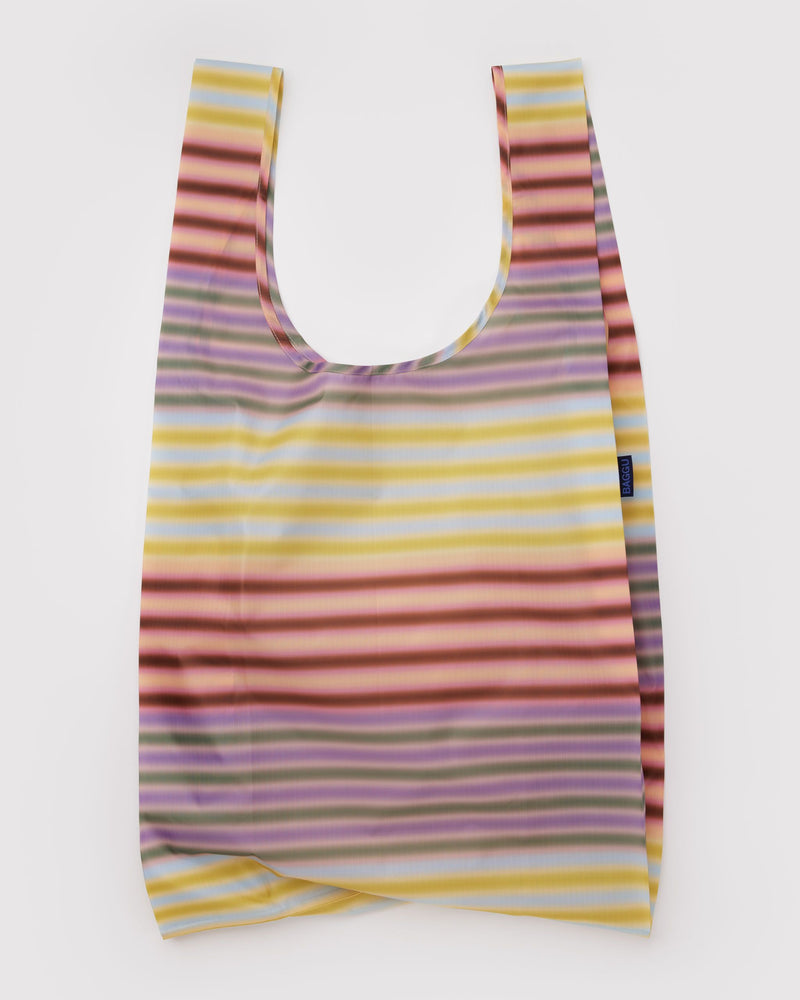 Big Baggu, Gradient Stripe Multi
